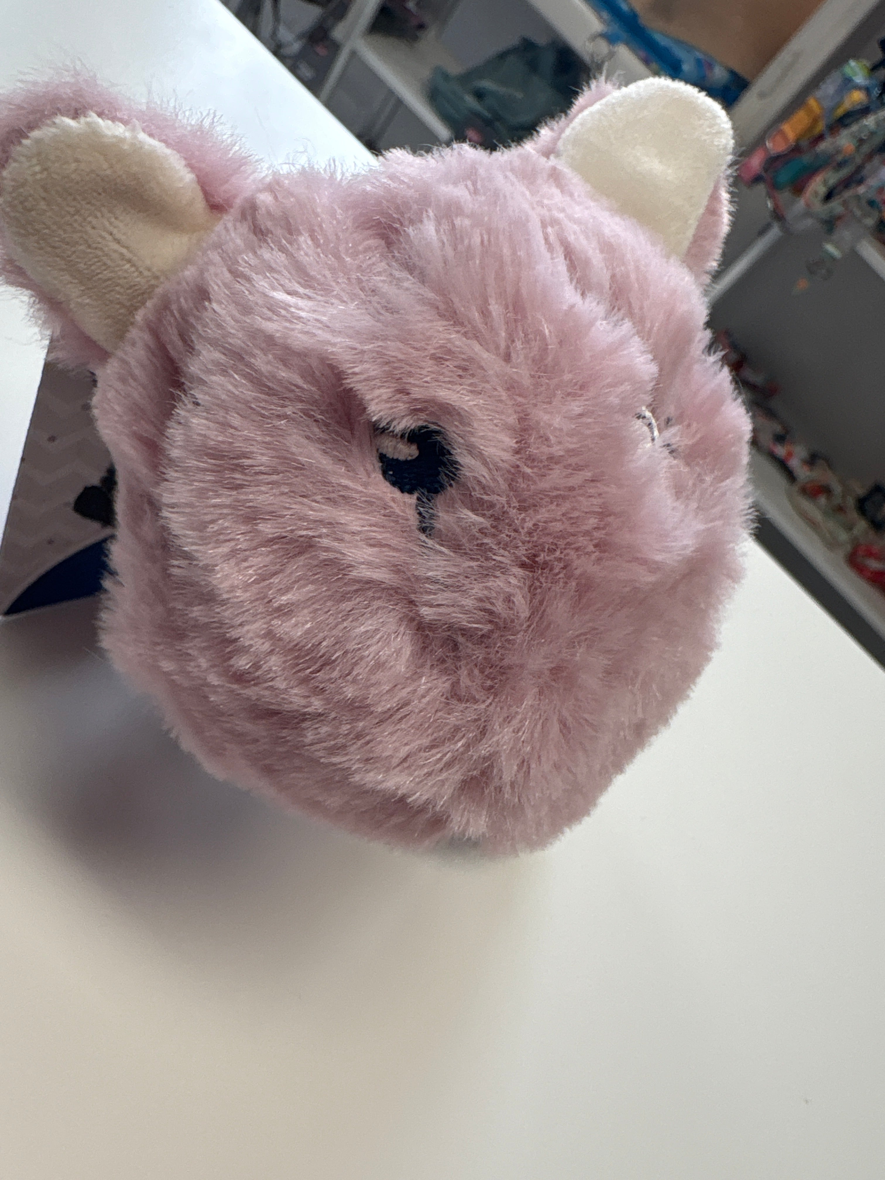 Junior Hase mit Ring