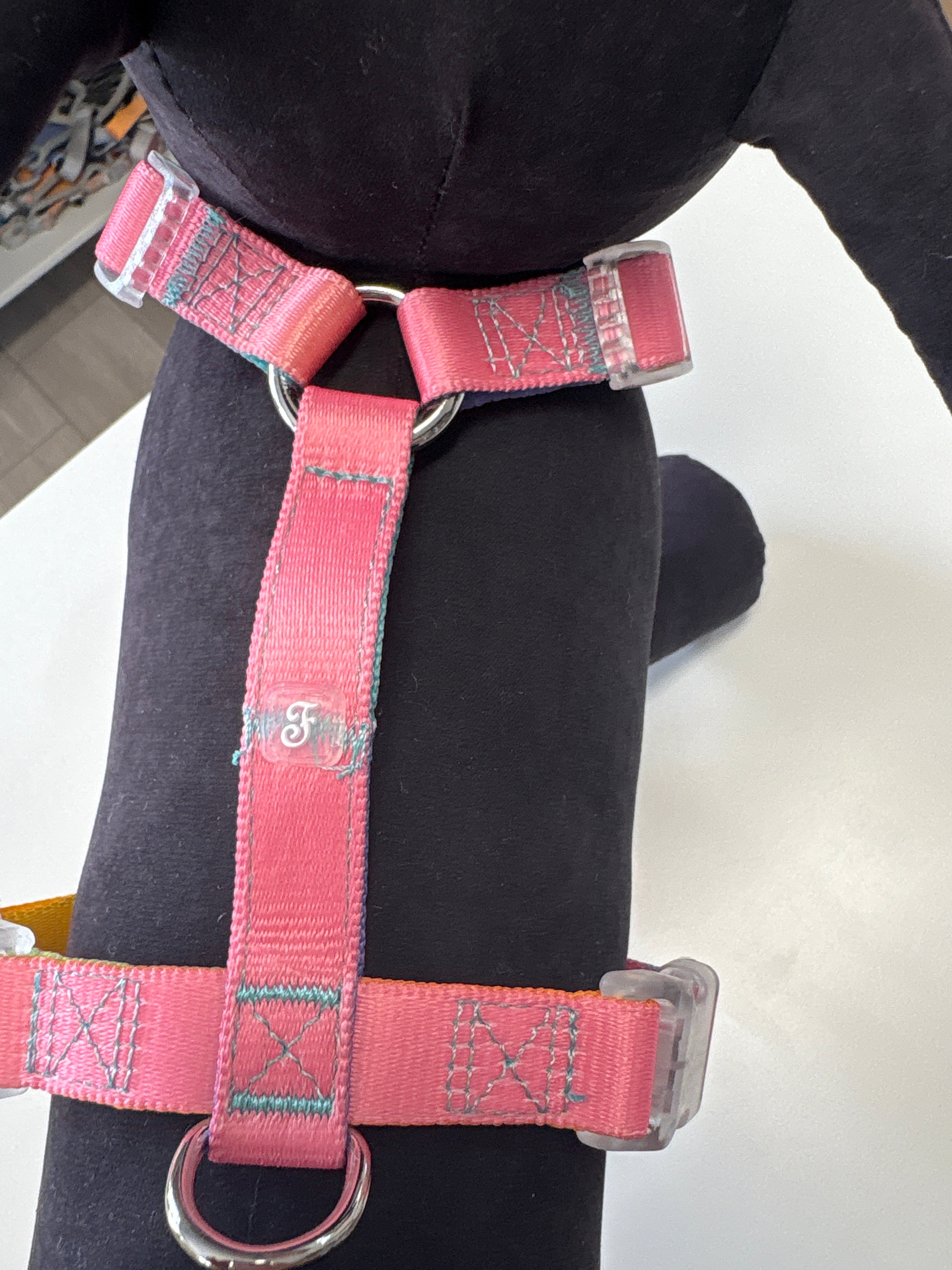 PETTORINA H MOTIF RAINBOW S 30-46CM - 43-60CM