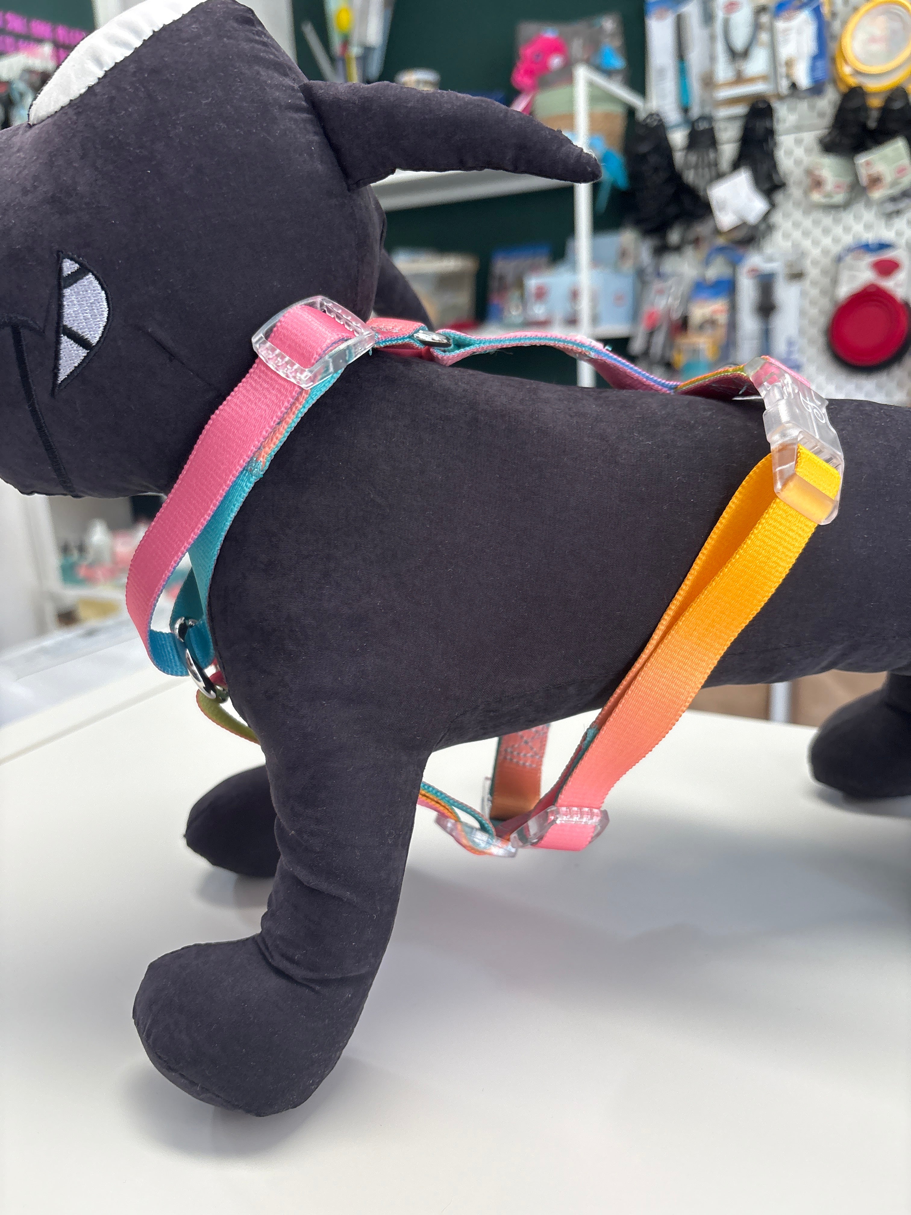 PETTORINA H MOTIF RAINBOW S 30-46CM - 43-60CM