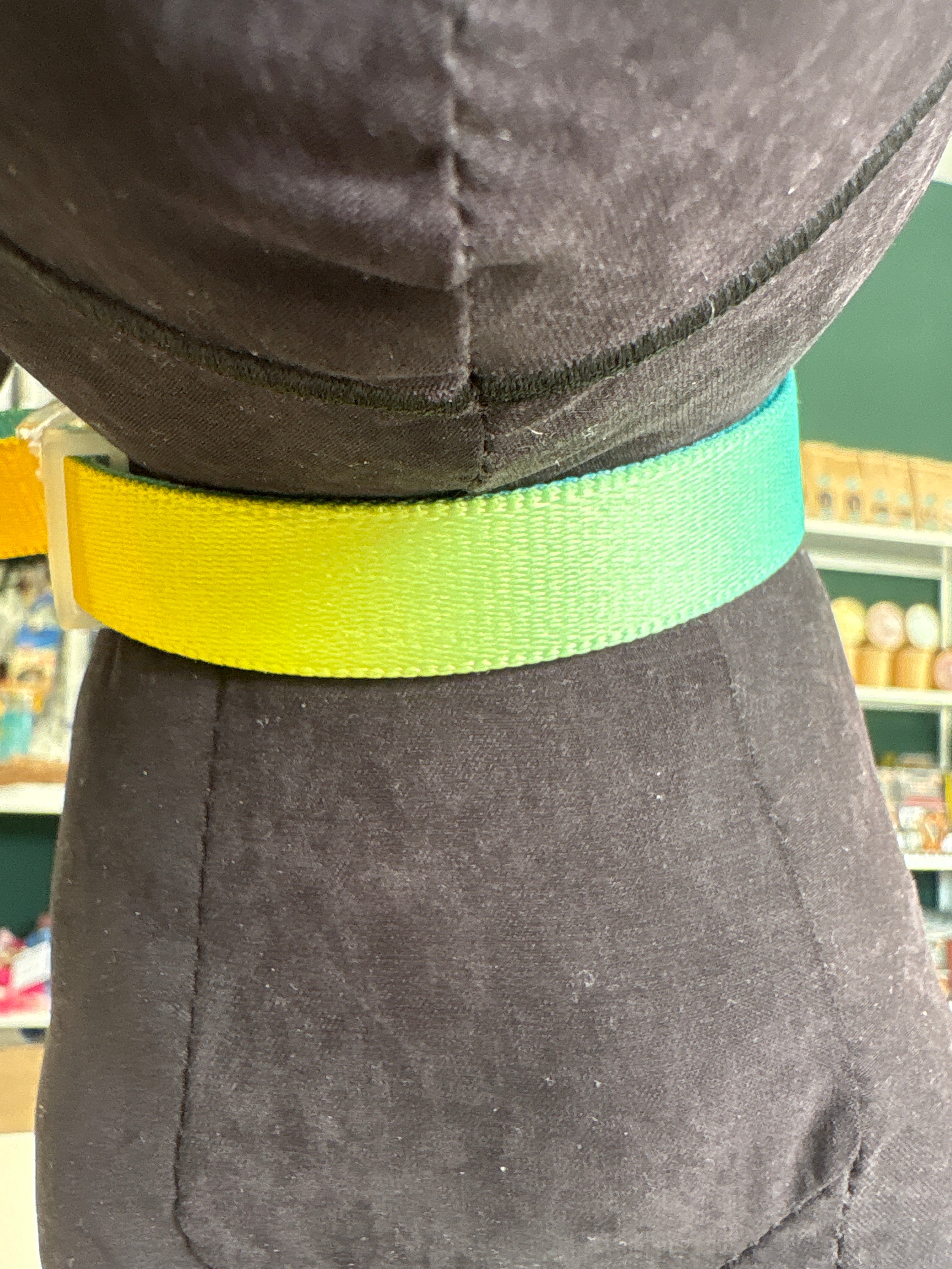 Motif Collare Rainbow L