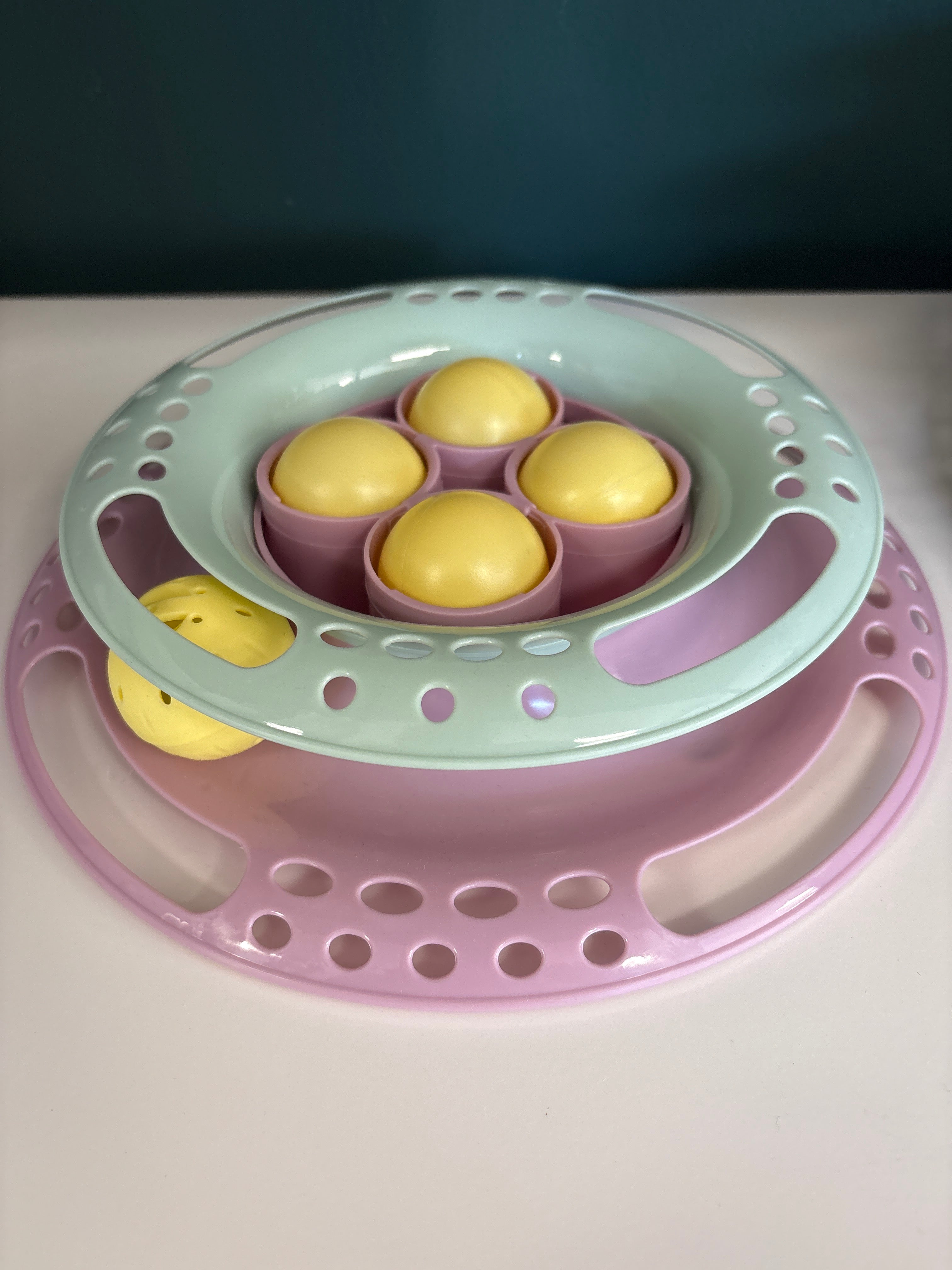 Junior Kitten Circle 24cm