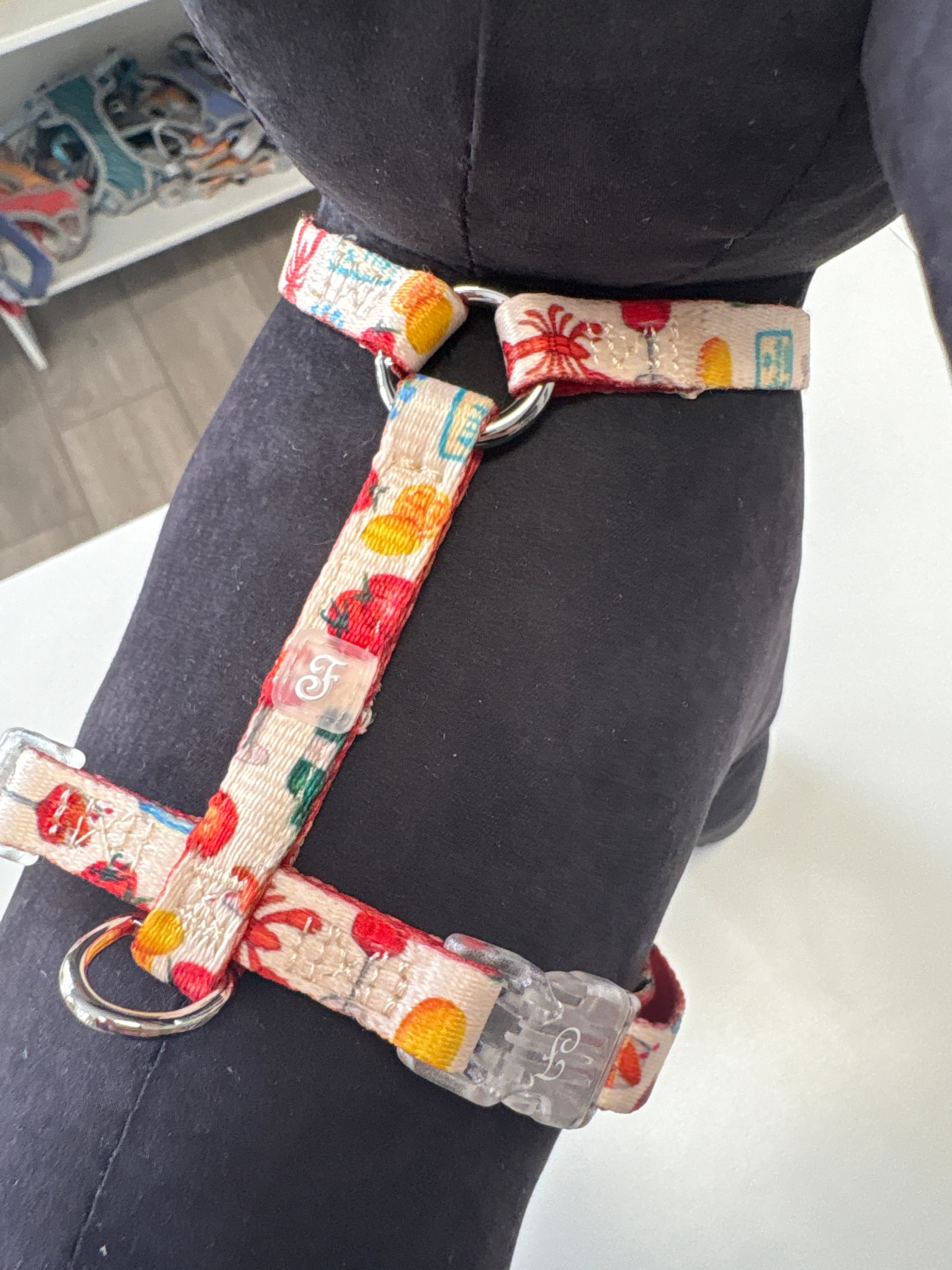 PETTORINA H MOTIF Les Gourmands XS