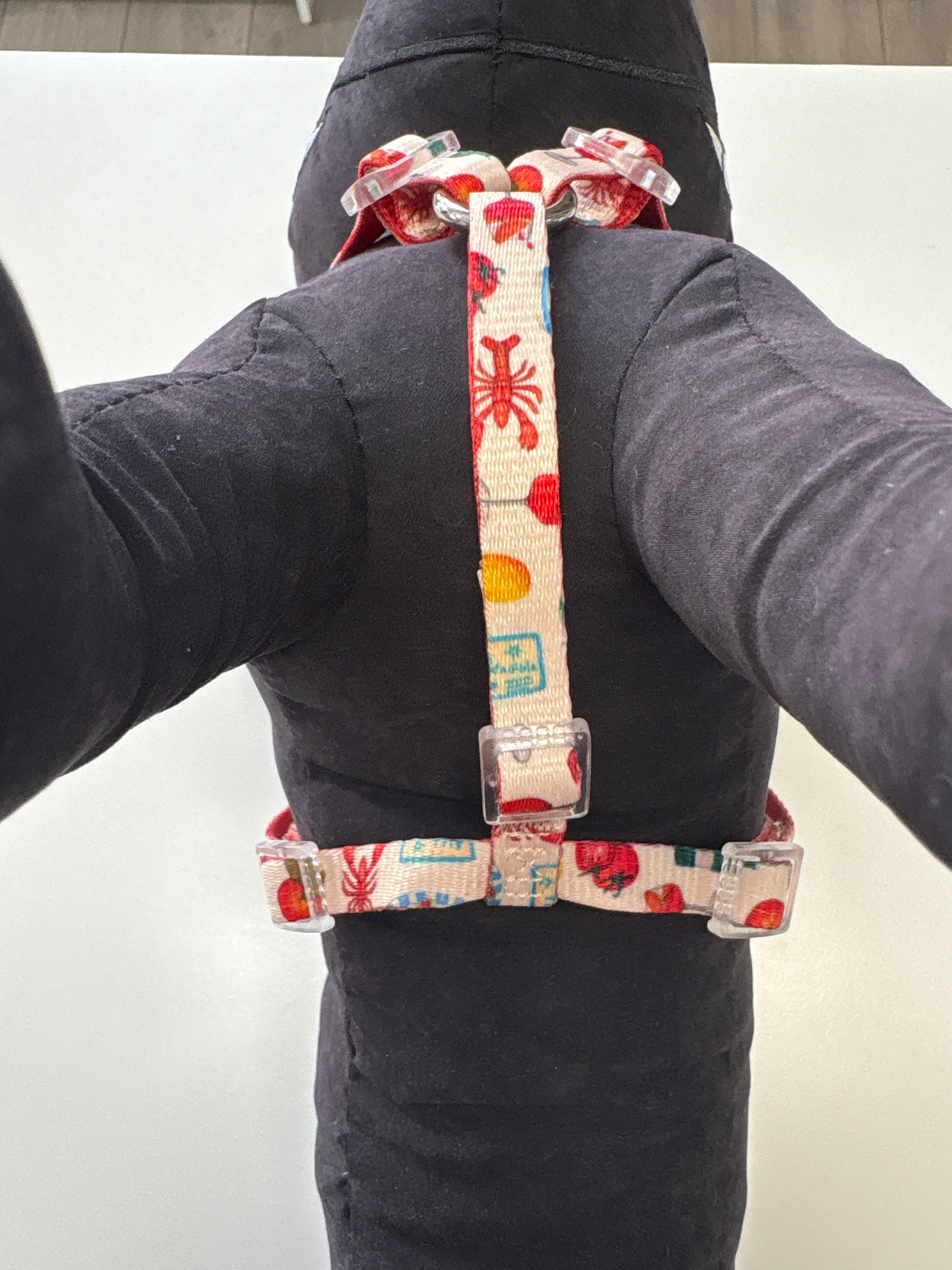 PETTORINA H MOTIF Les Gourmands XS