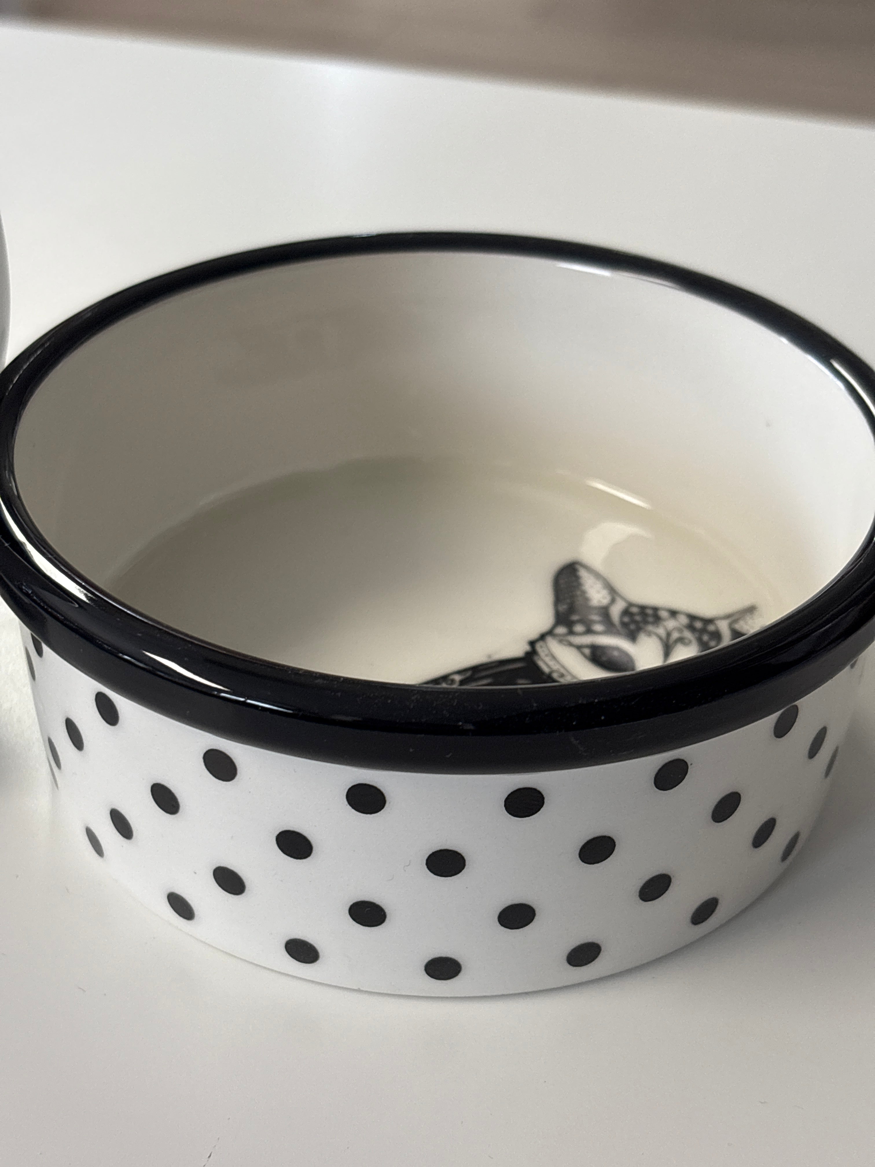 Katzennapf schwarz/weiß