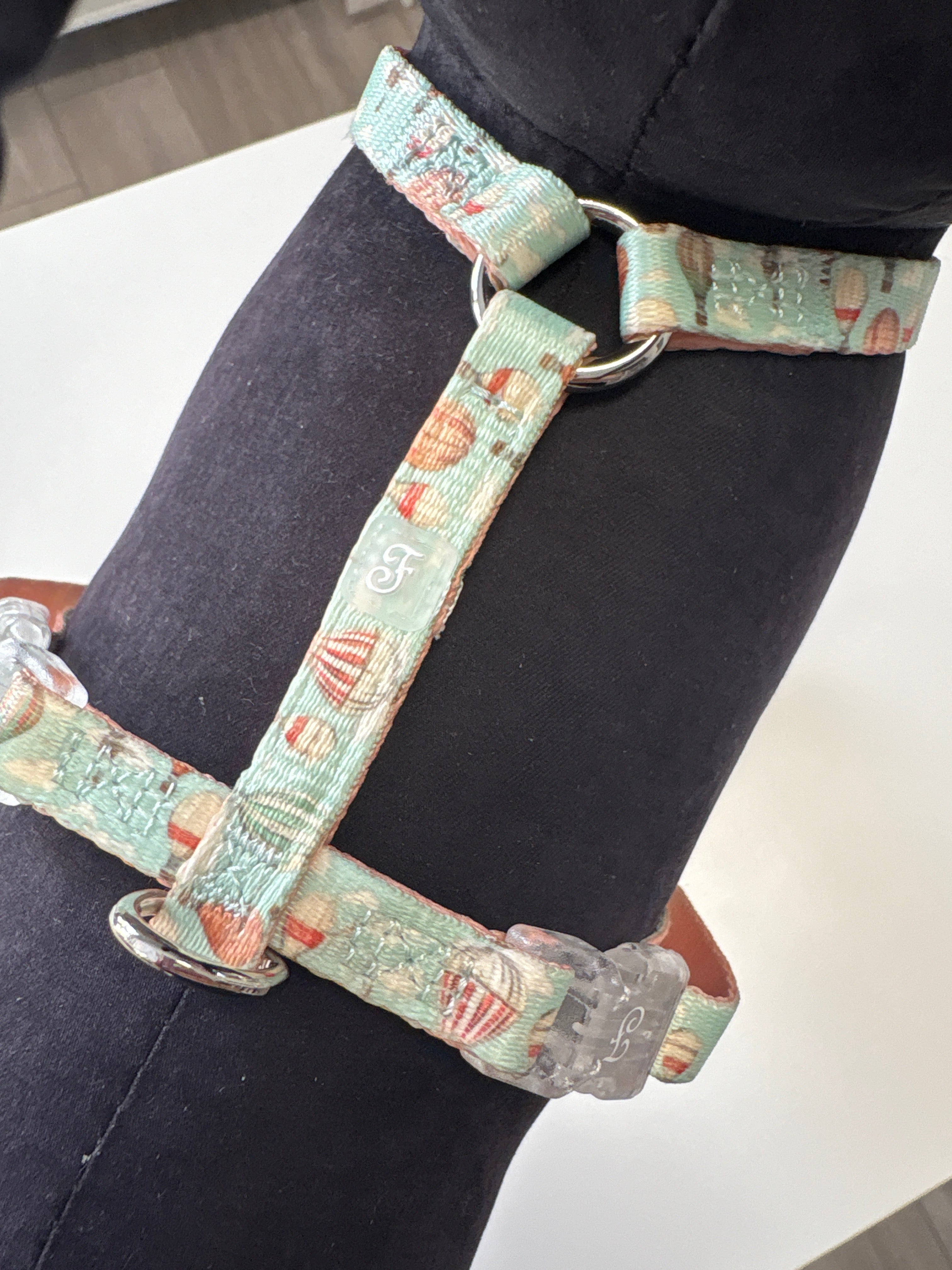 PETTORINA H MOTIF Balloons XS