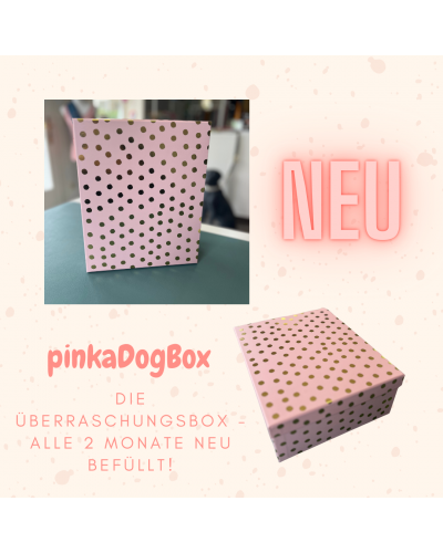 pinkaDogBox 🐾