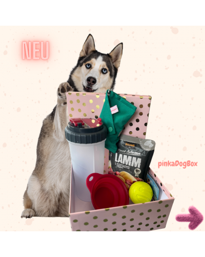 pinkaDogBox 🐾