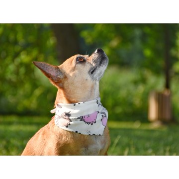 Hundehalstücher - Hundezubehör von pinkabell