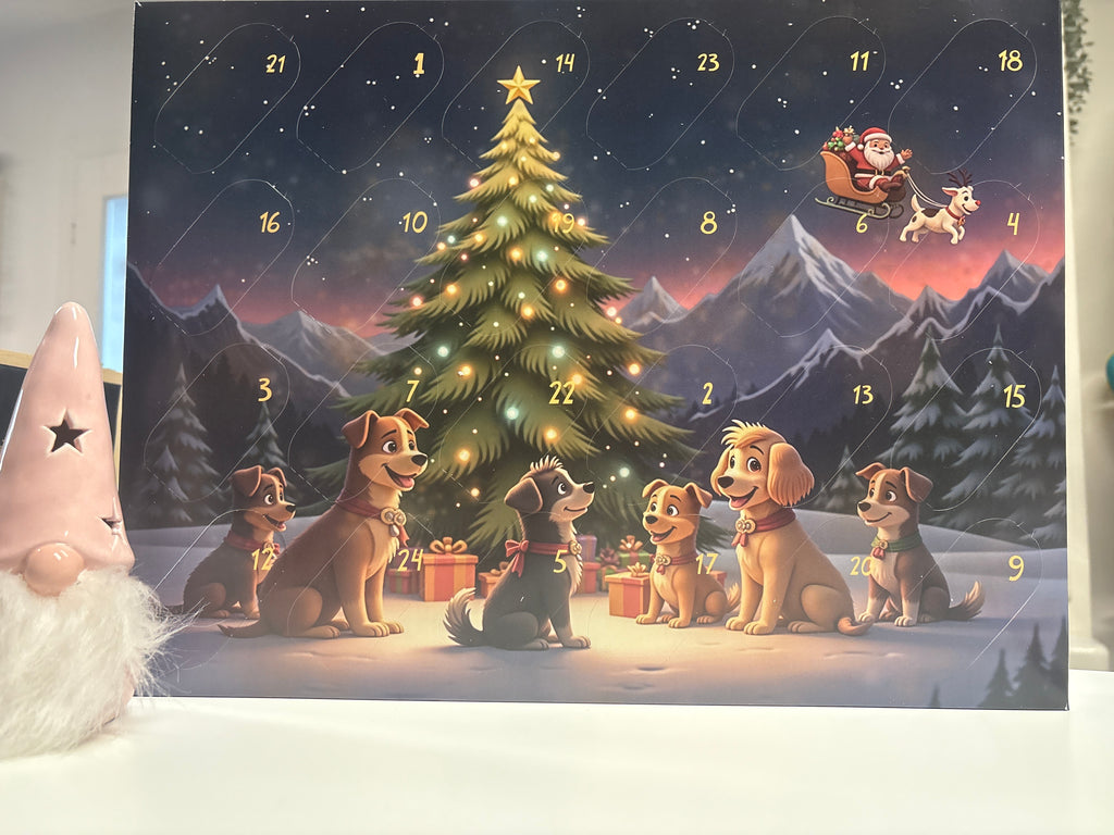 Cinnas Hundeadventkalender