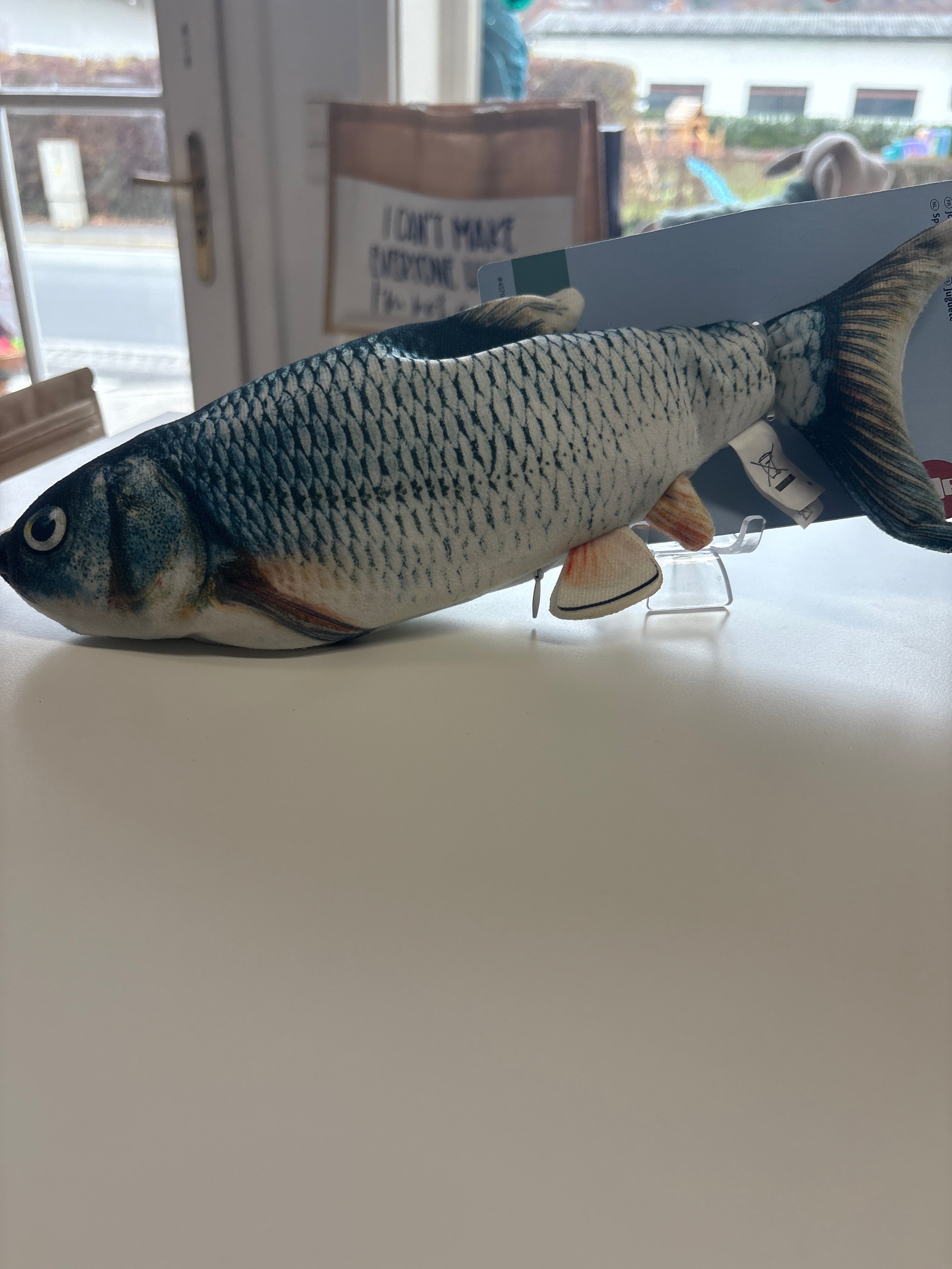 Zappelfisch mit Katzenminze