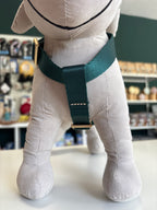 PETTORINA MIDA SMALL 20-30 CM; 30-45 CM VERDE