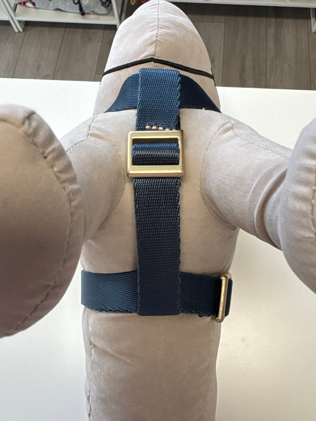 PETTORINA MIDA LARGE 40-60CM; 55-80CM BLU