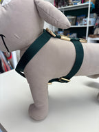 PETTORINA MIDA SMALL 20-30 CM; 30-45 CM VERDE