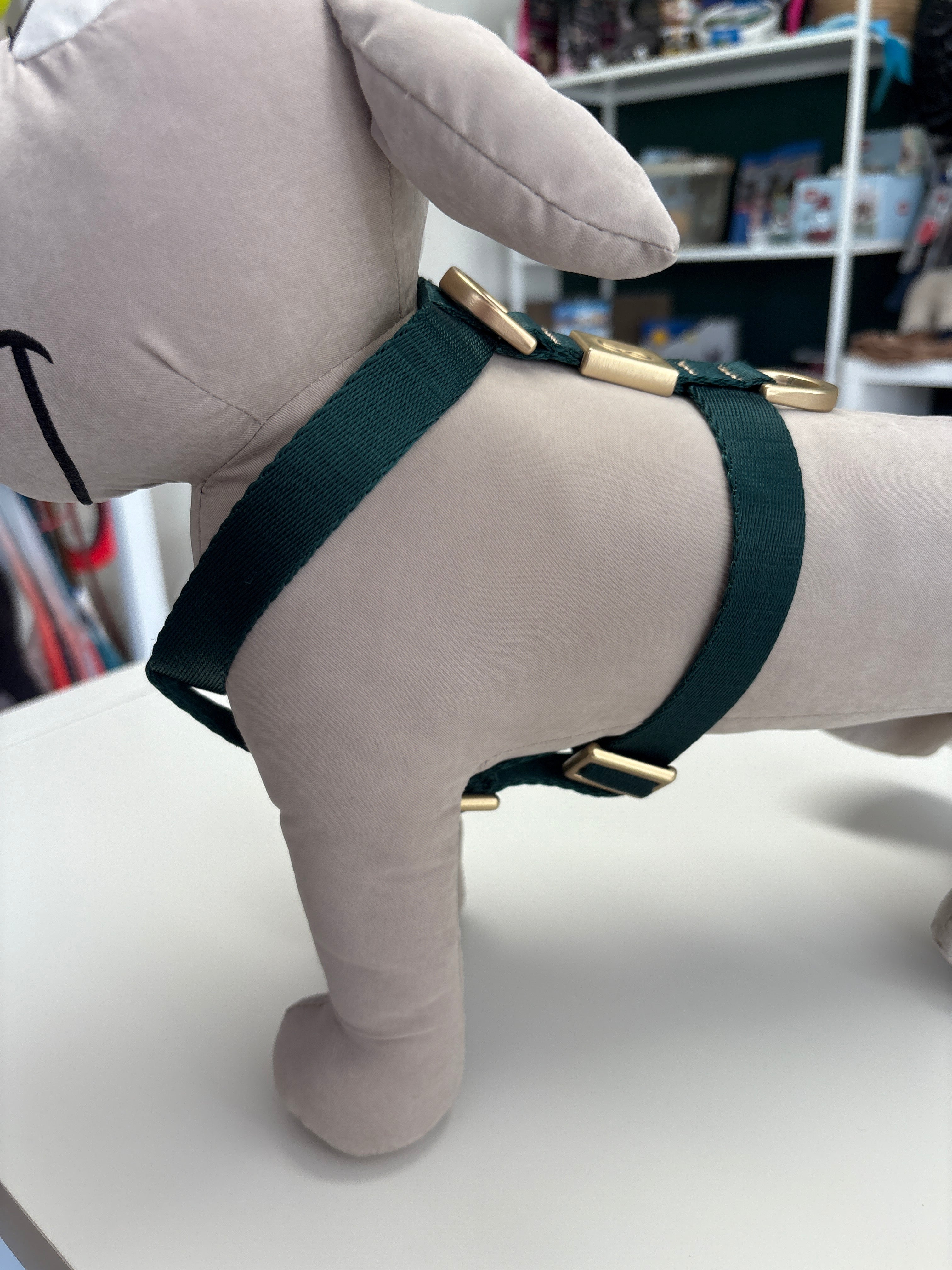 PETTORINA MIDA SMALL 20-30 CM; 30-45 CM VERDE