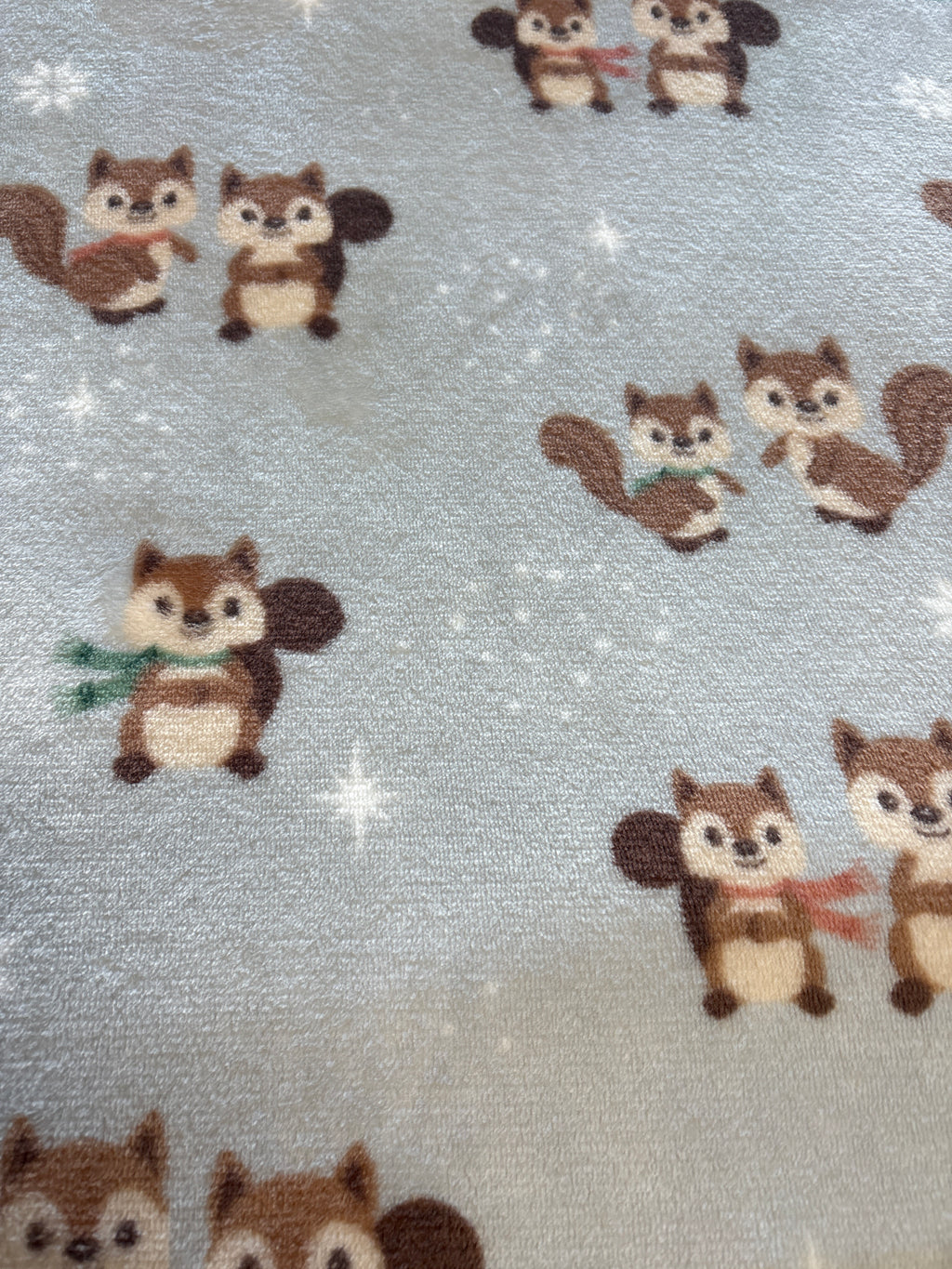 Hundedecke S | Eichhörnchen