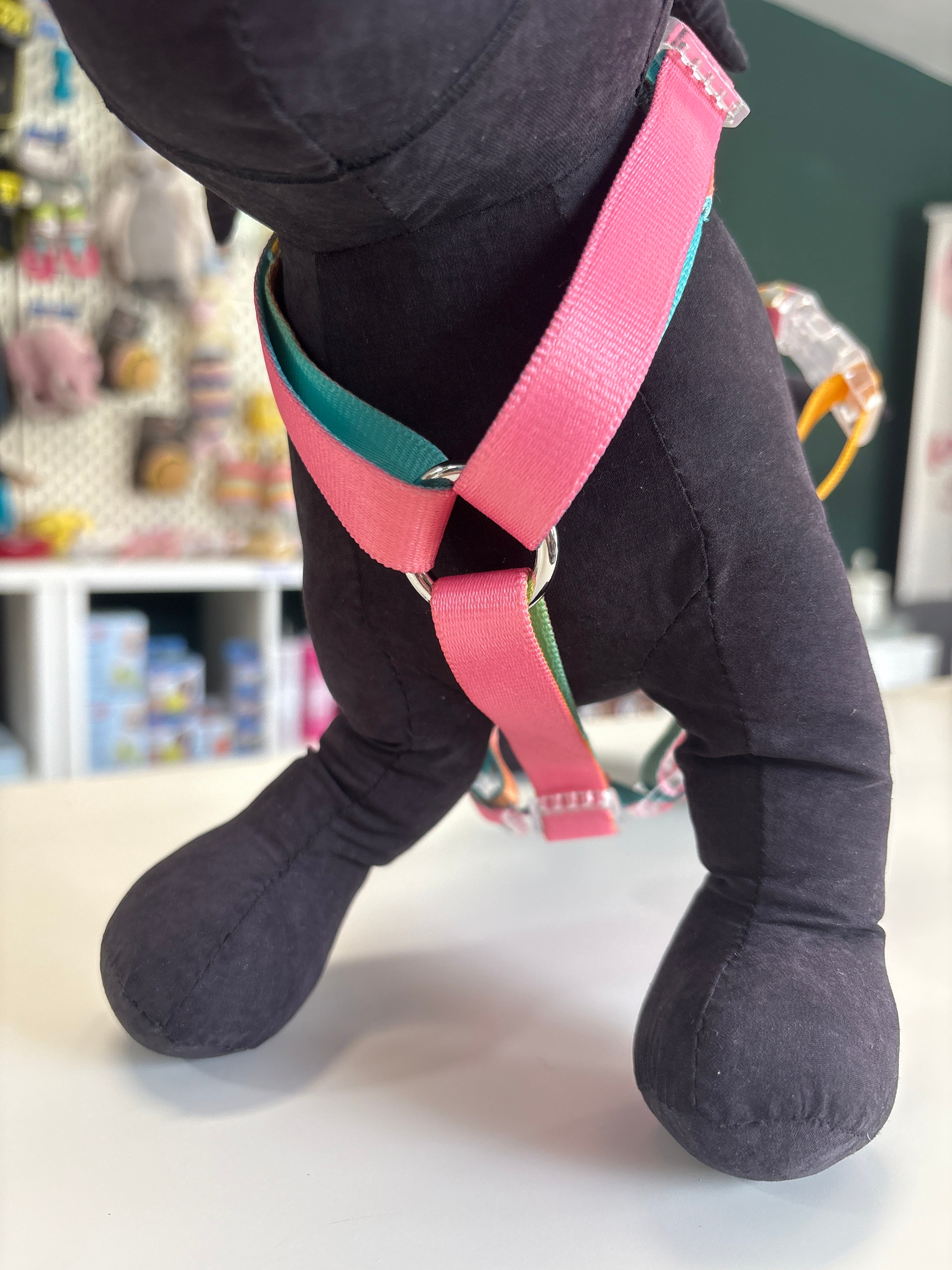 PETTORINA H MOTIF RAINBOW S 30-46CM - 43-60CM