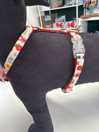 PETTORINA H MOTIF Les Gourmands XS