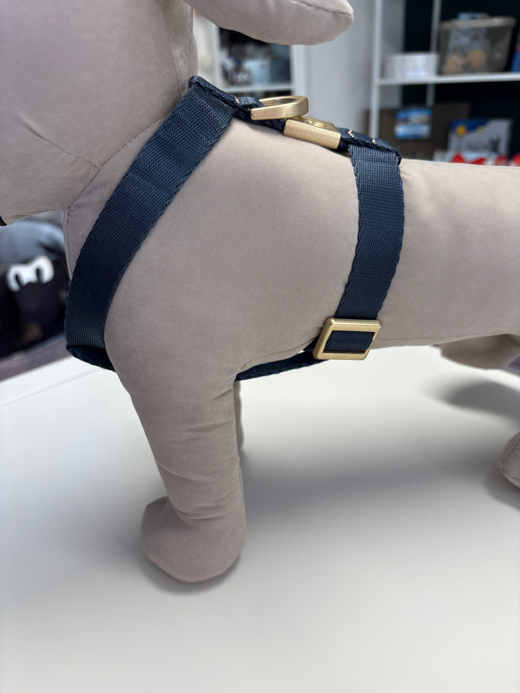 PETTORINA MIDA LARGE 40-60CM; 55-80CM BLU