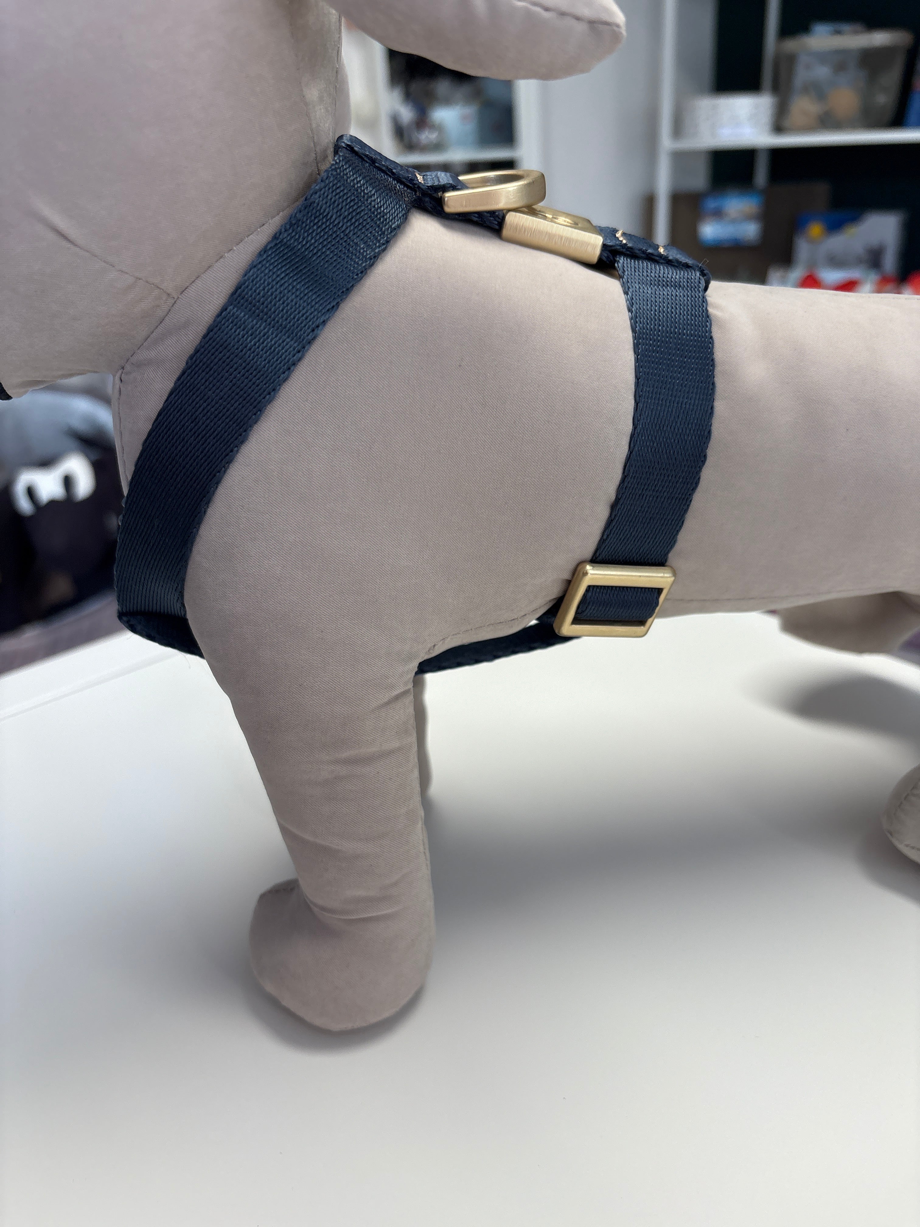 PETTORINA MIDA LARGE 40-60CM; 55-80CM BLU