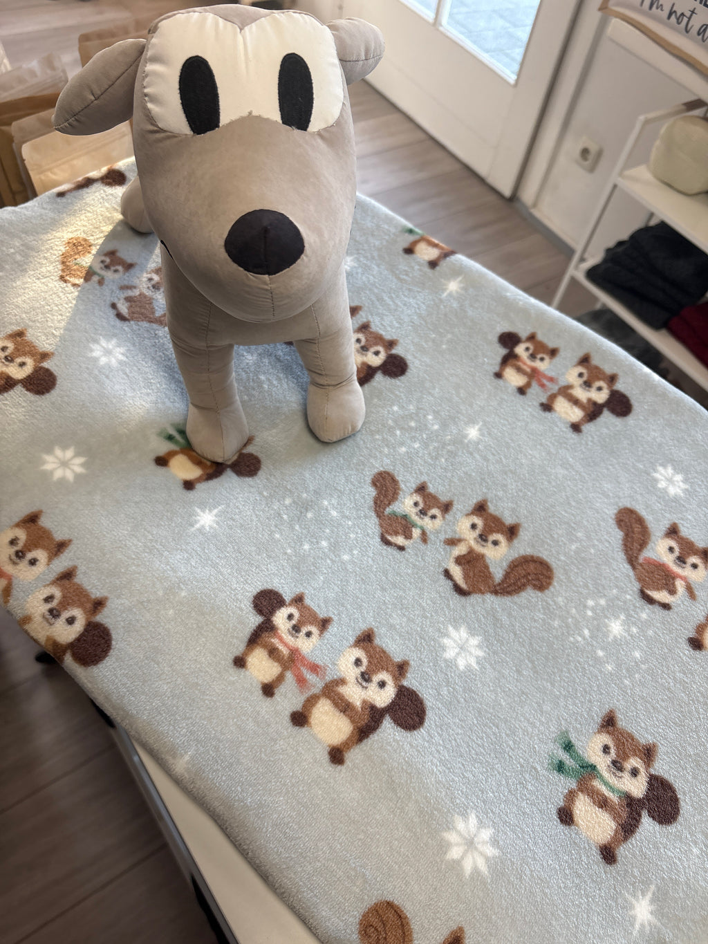 Hundedecke S | Eichhörnchen