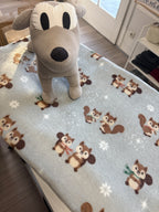 Hundedecke S | Eichhörnchen