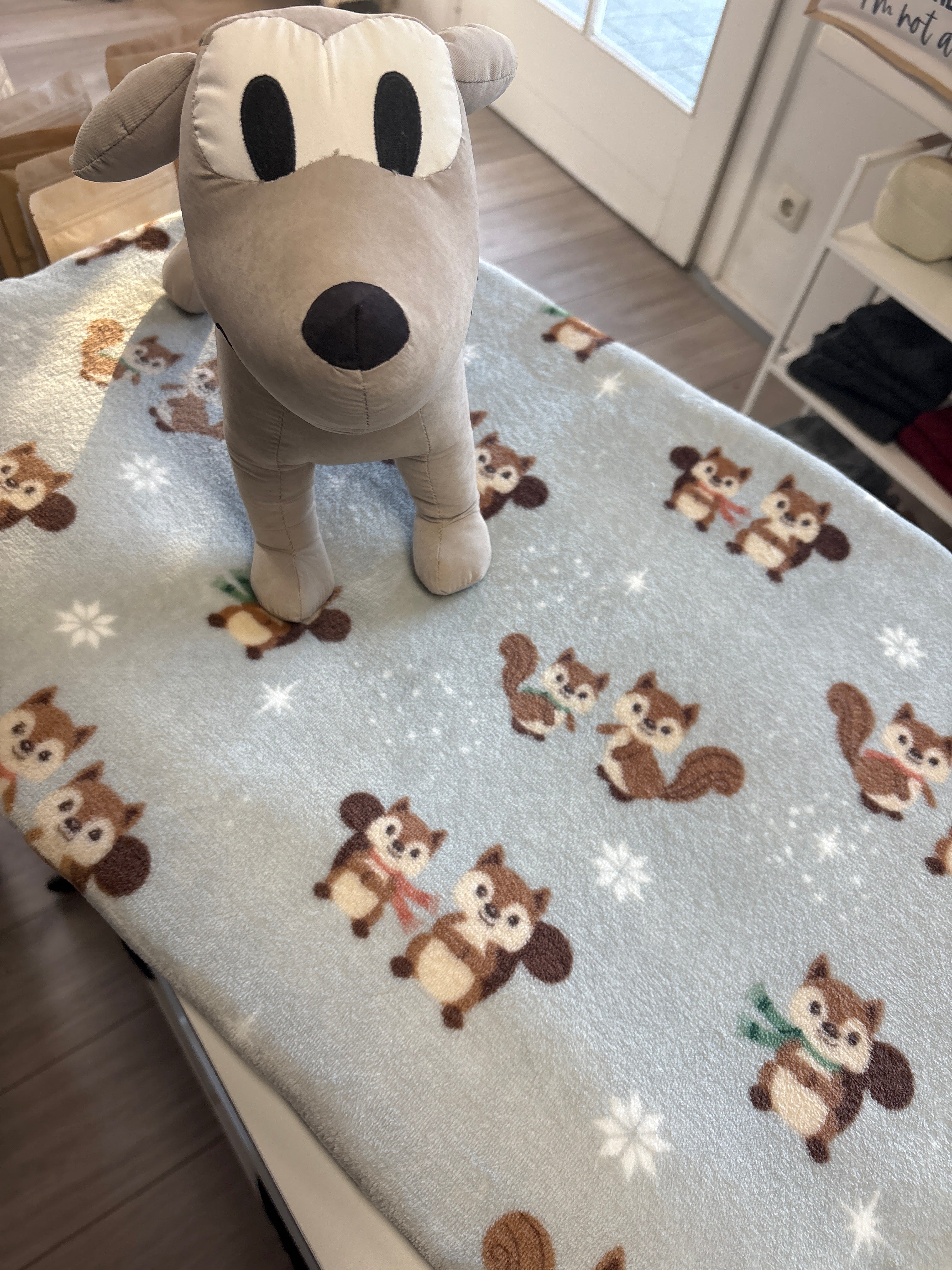 Hundedecke M | Eichhörnchen