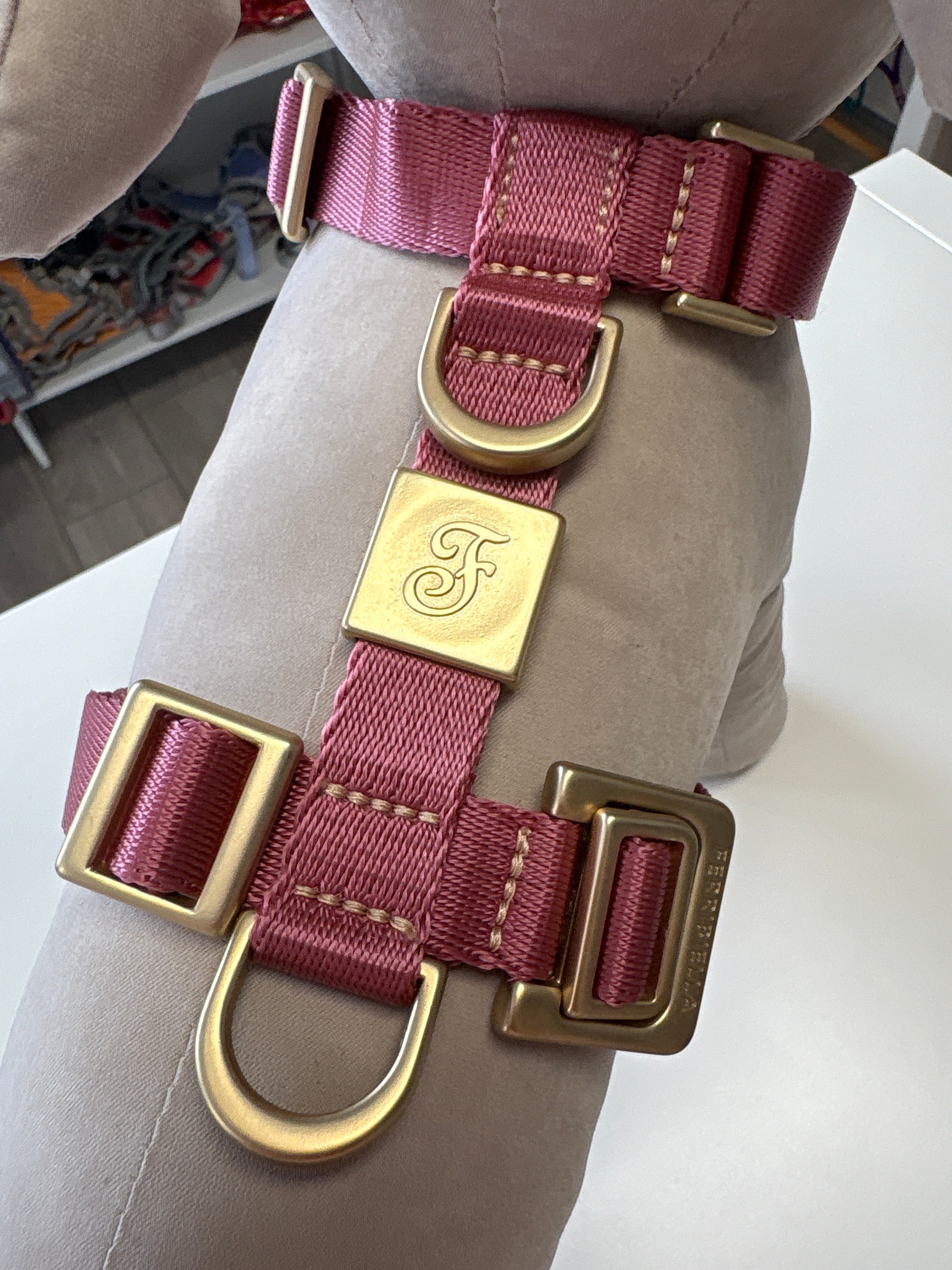 PETTORINA MIDA MEDIUM 30-45CM; 45-60CM ROSSO