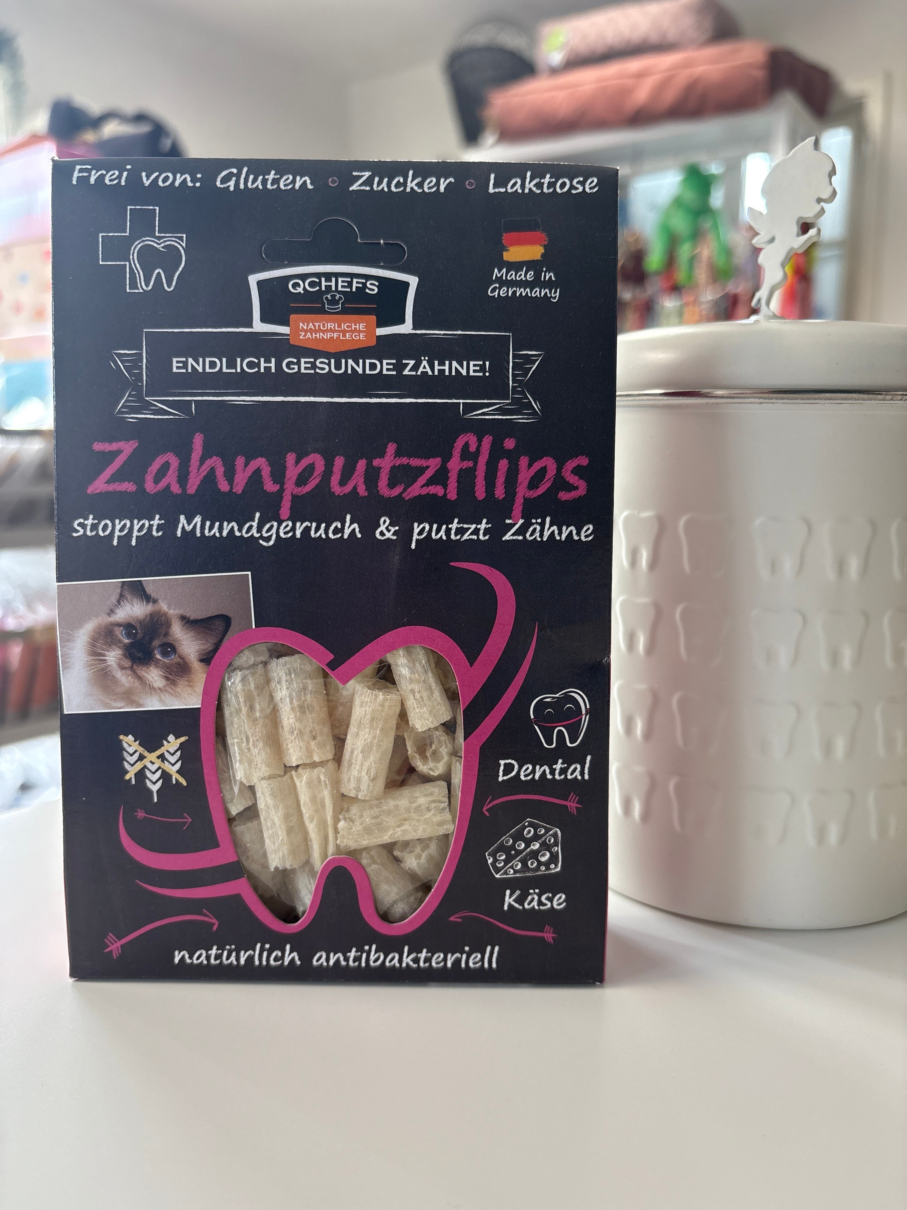 Zahnputzflips Katze
