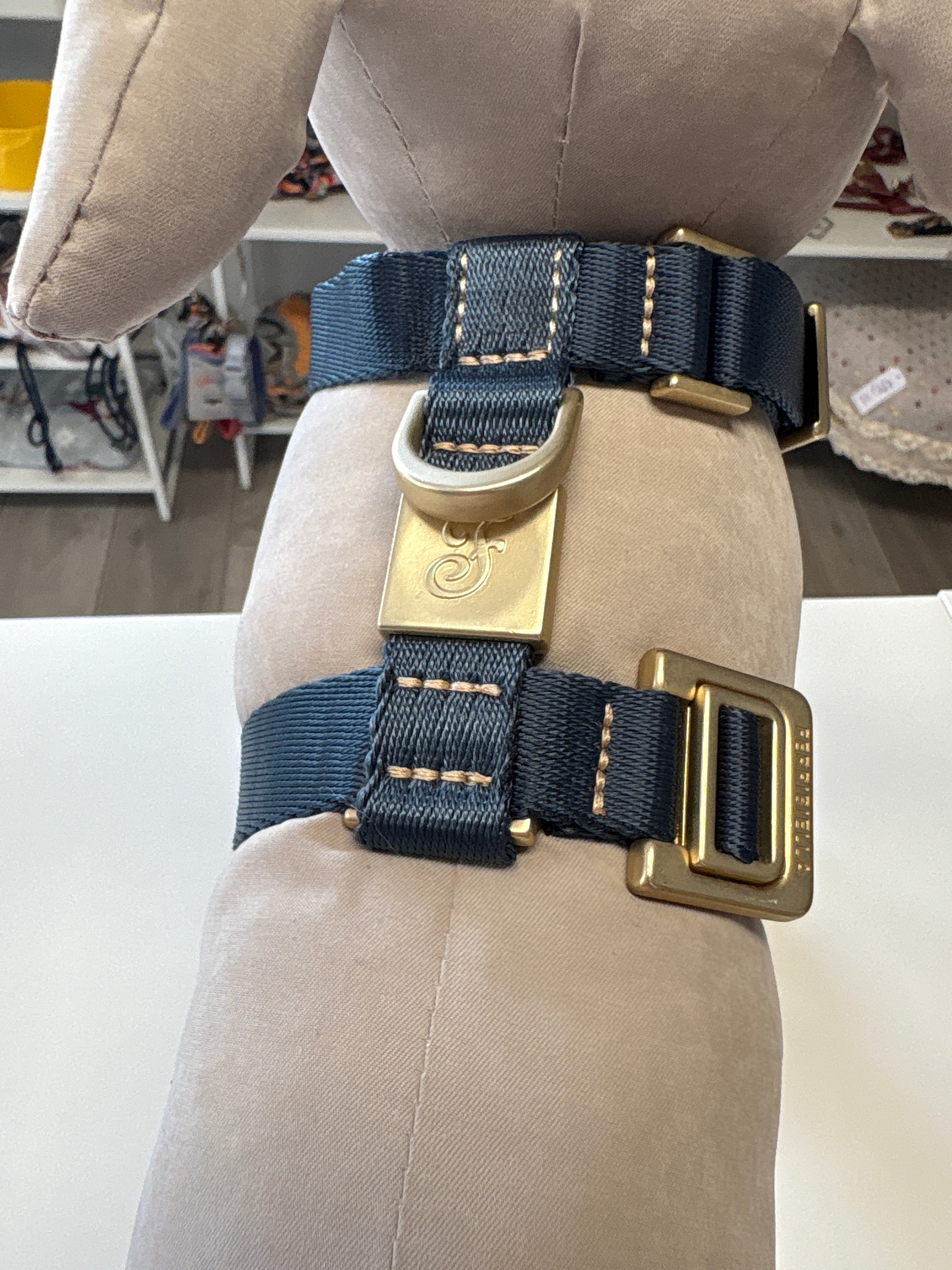 PETTORINA MIDA LARGE 40-60CM; 55-80CM BLU