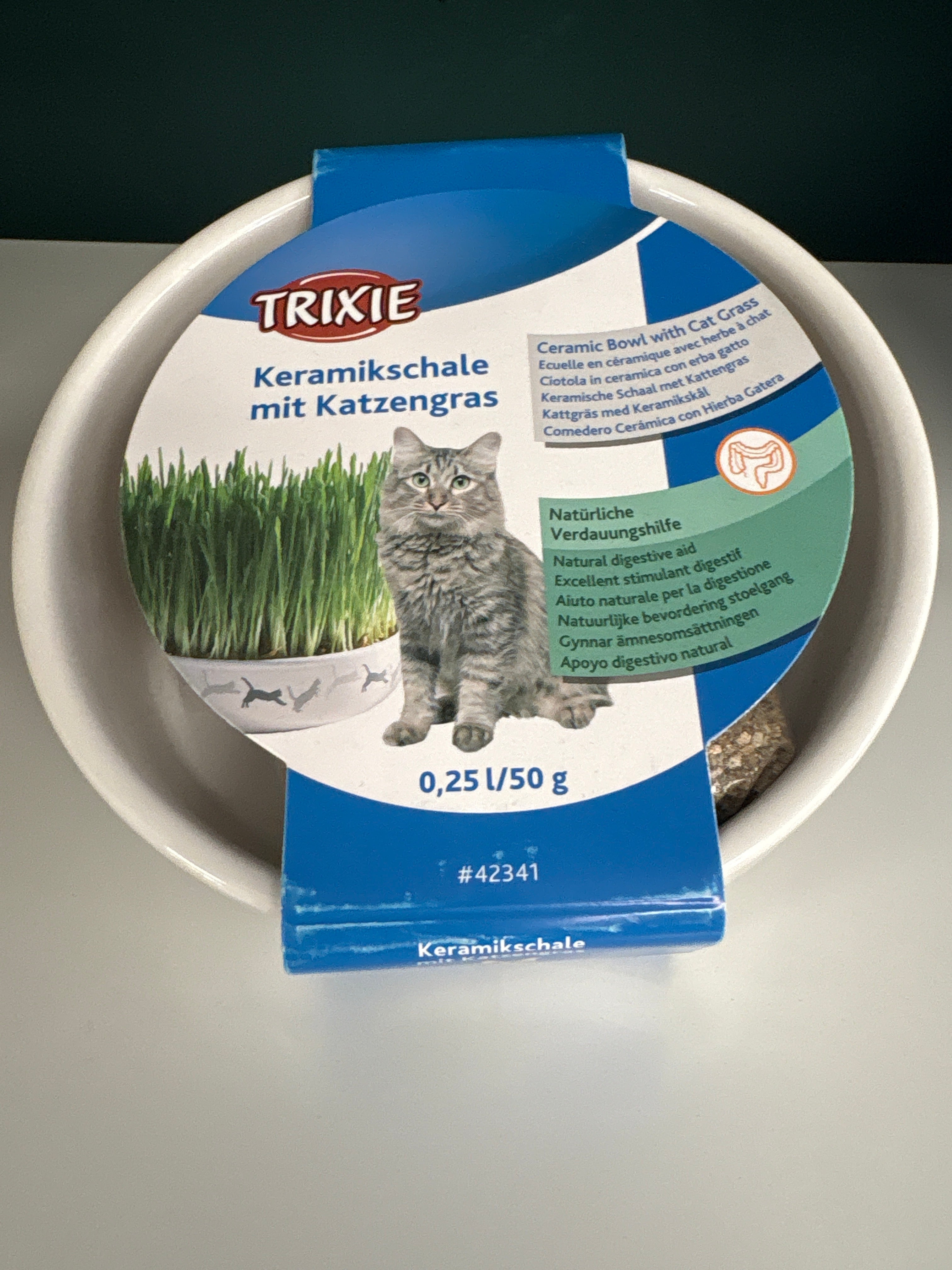 Katzengras mit Schale