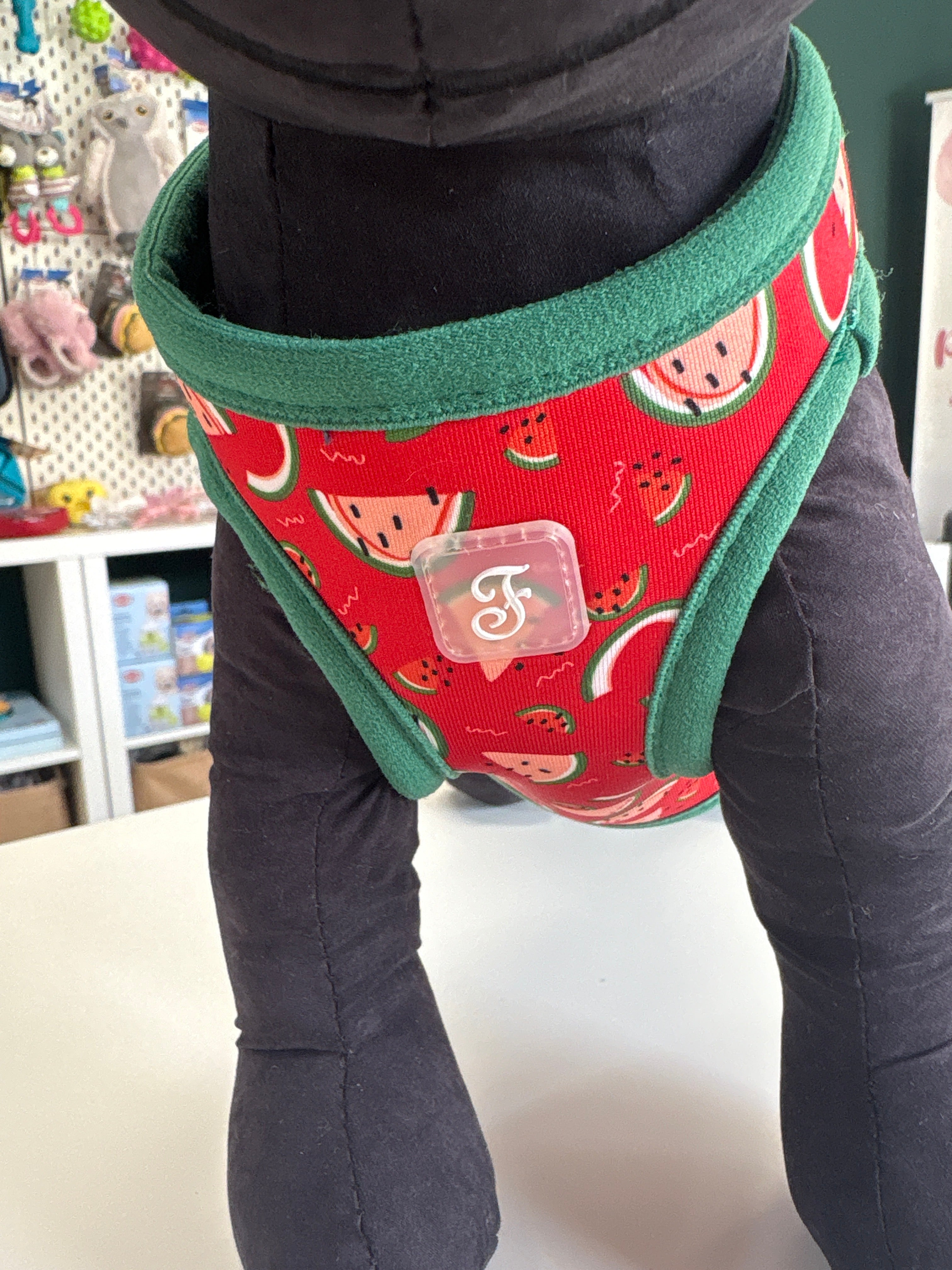 PETTORINA MOTIF WATERMELON XS 25-29CM - 34-37CM