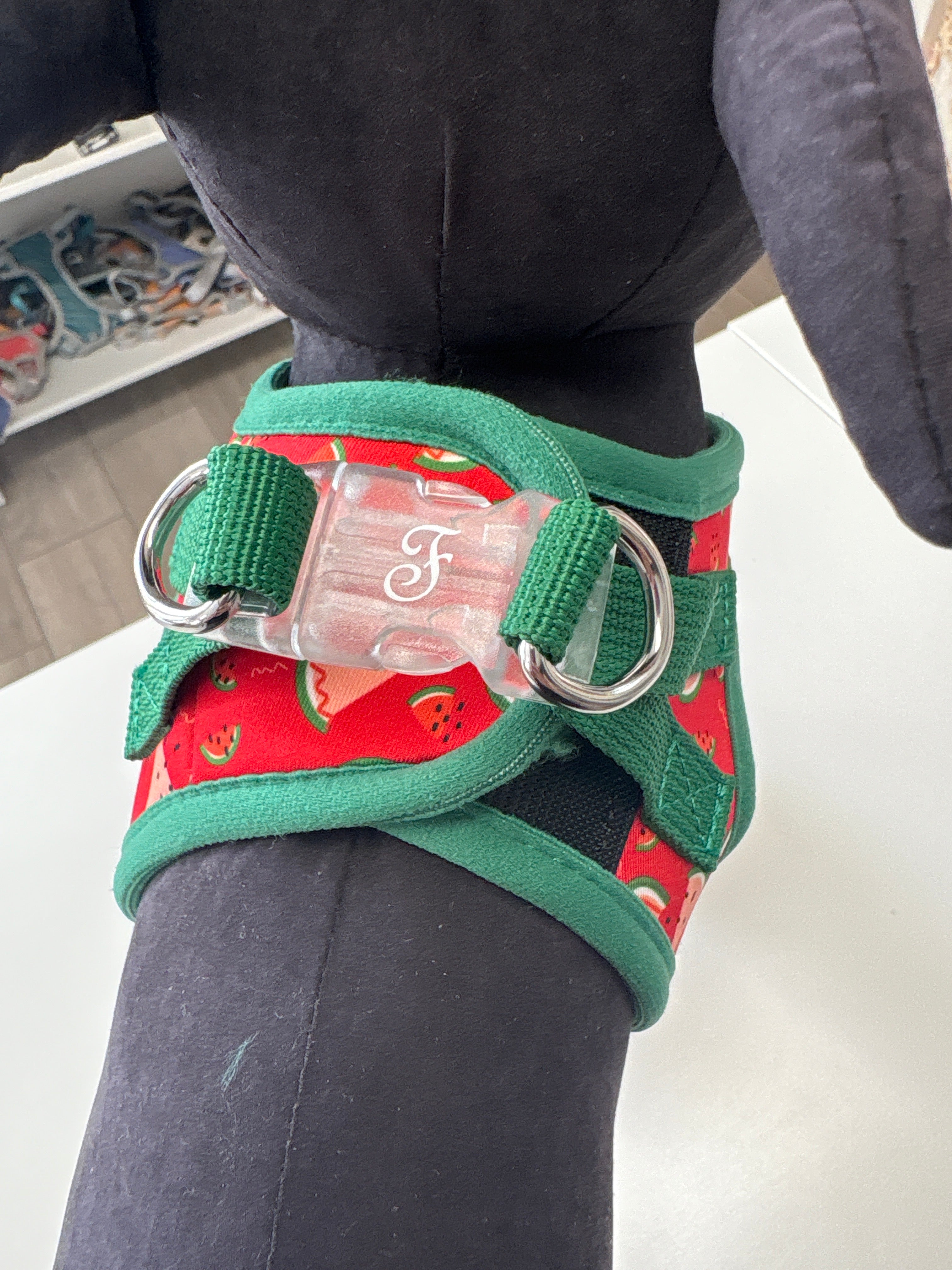 PETTORINA MOTIF WATERMELON XS 25-29CM - 34-37CM
