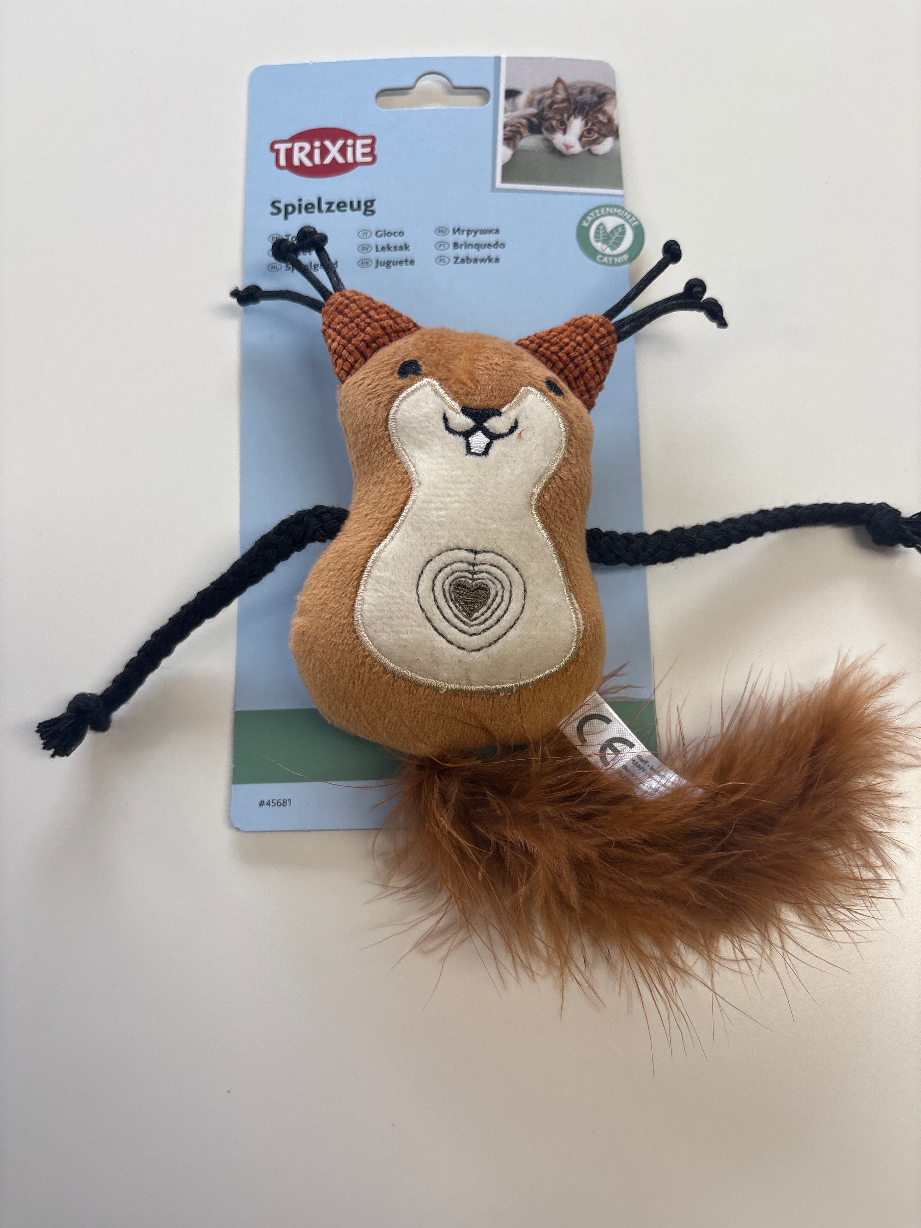 Eichhörnchen mit Katzenminze