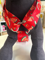 PETTORINA H MOTIF WATERMELON L 50-74CM - 63-92CM