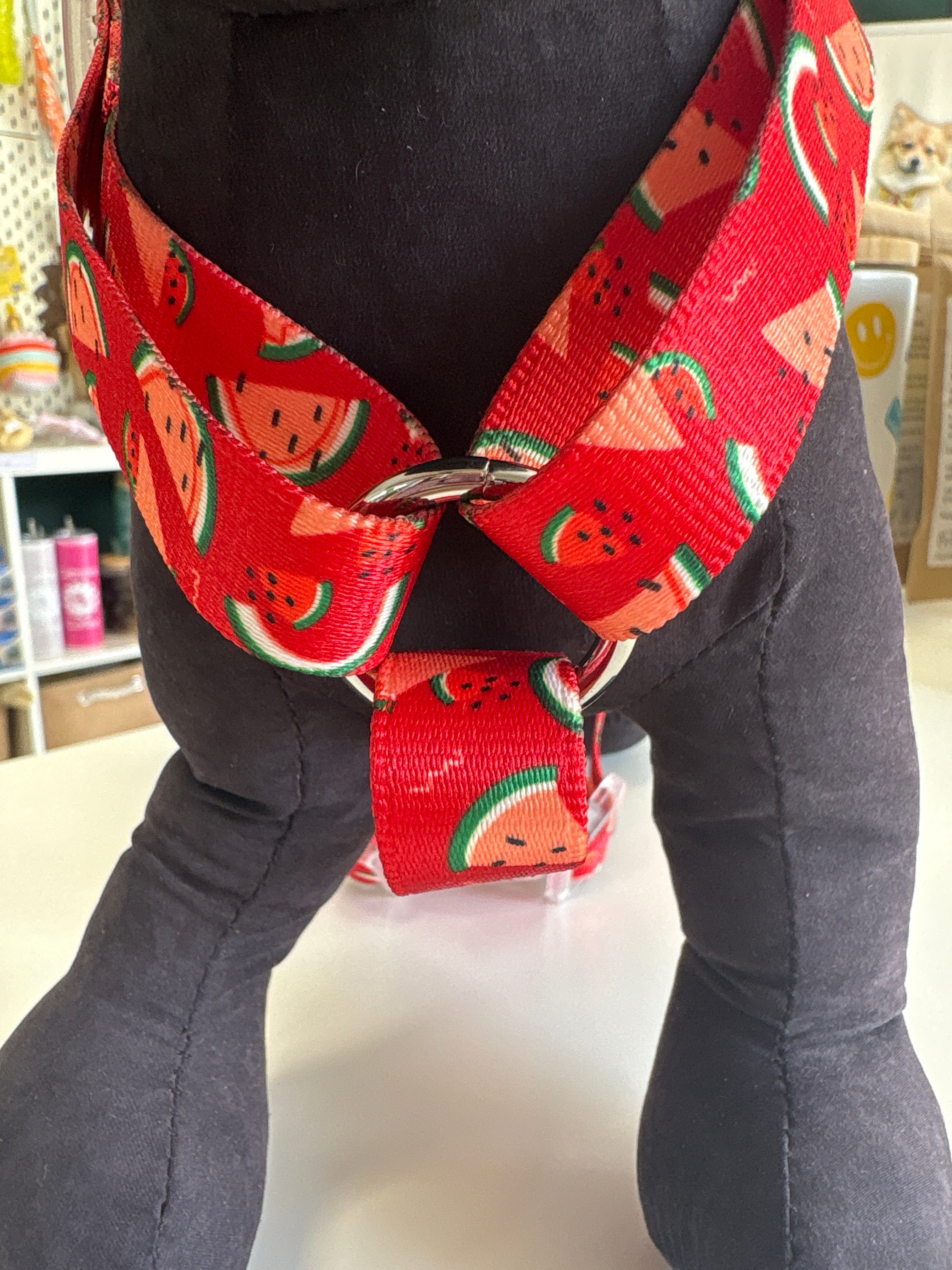 PETTORINA H MOTIF WATERMELON L 50-74CM - 63-92CM
