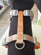 PETTORINA ONDA REFLECTIVE 28-40CM GIAL T