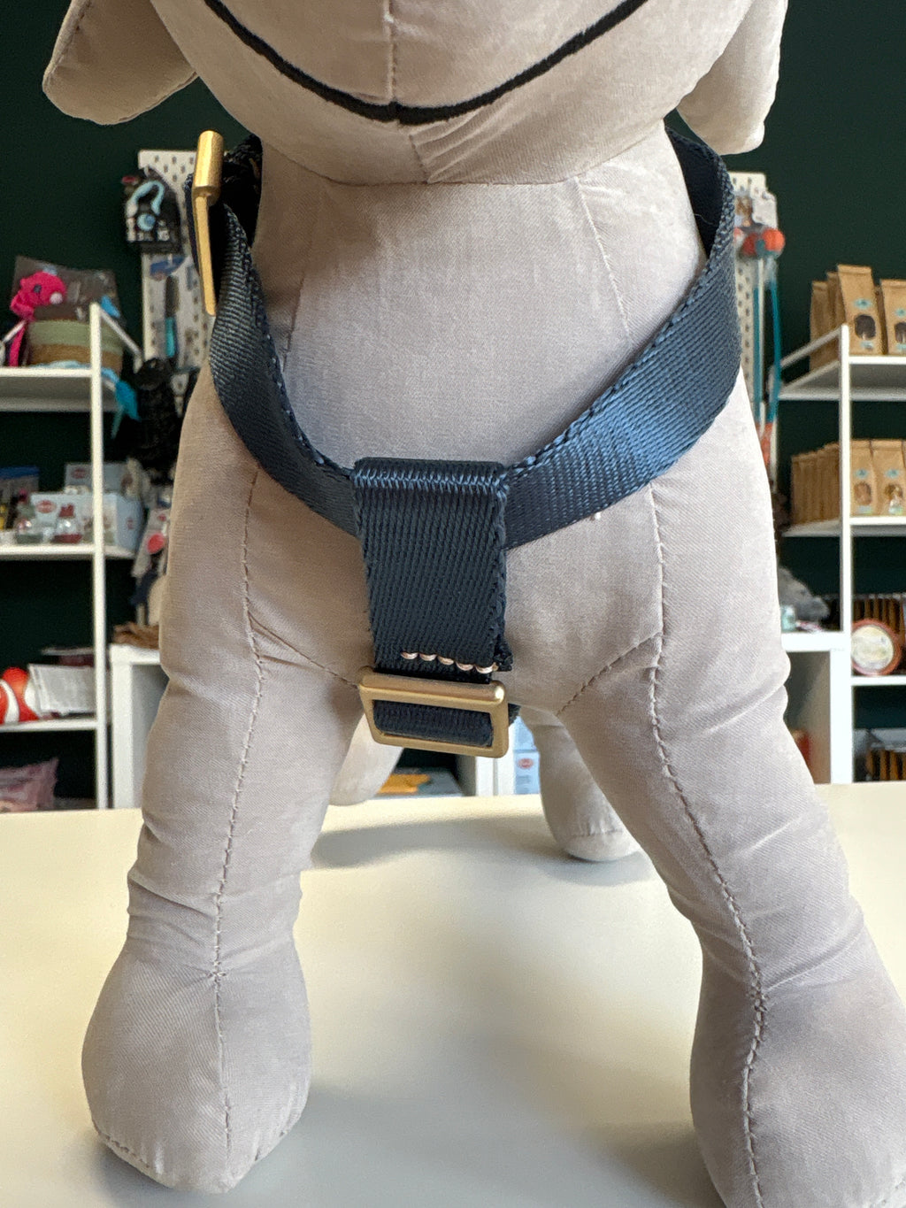 PETTORINA MIDA LARGE 40-60CM; 55-80CM BLU