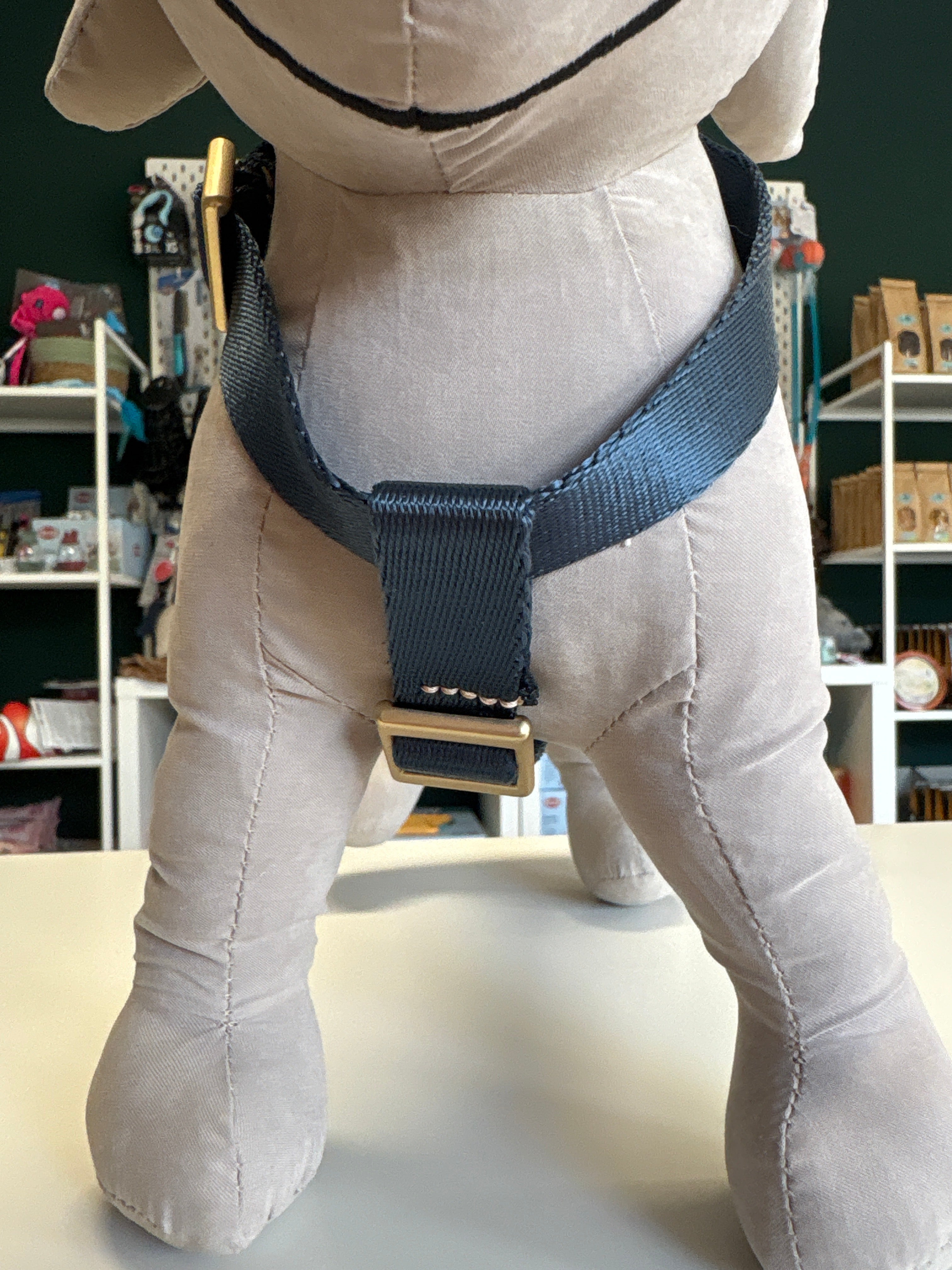 PETTORINA MIDA LARGE 40-60CM; 55-80CM BLU