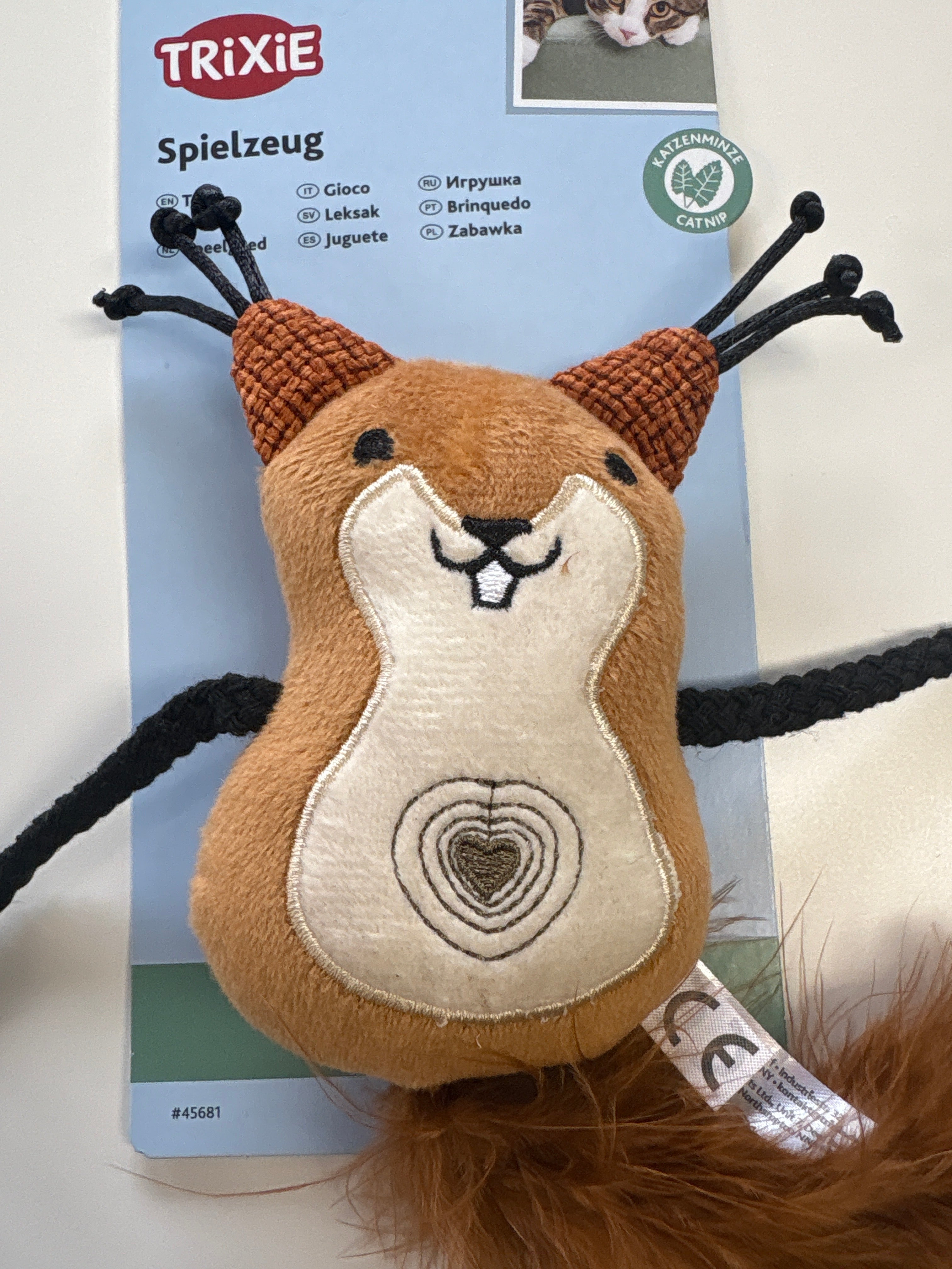 Eichhörnchen mit Katzenminze