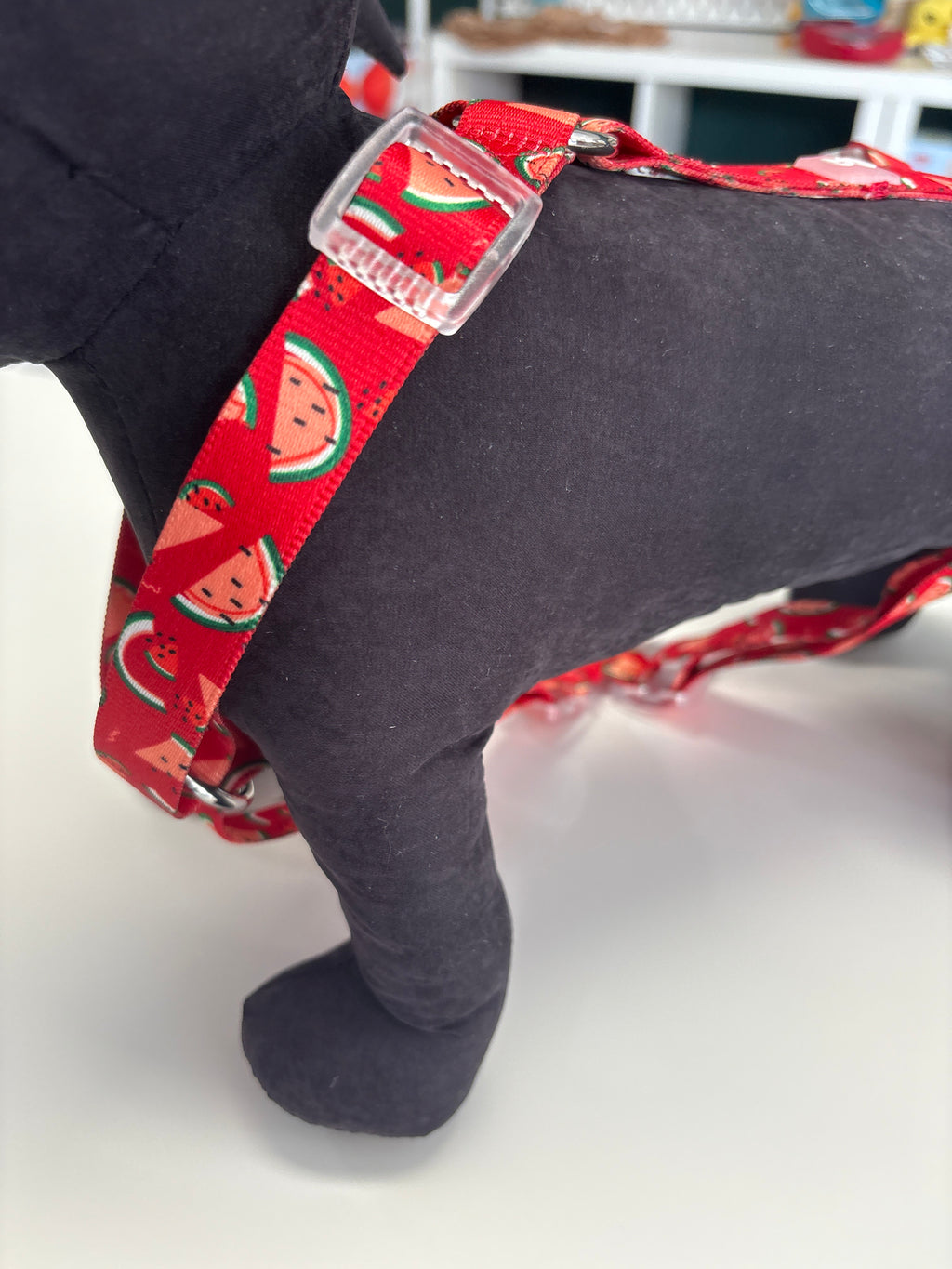 PETTORINA H MOTIF WATERMELON L 50-74CM - 63-92CM