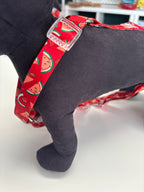 PETTORINA H MOTIF WATERMELON L 50-74CM - 63-92CM