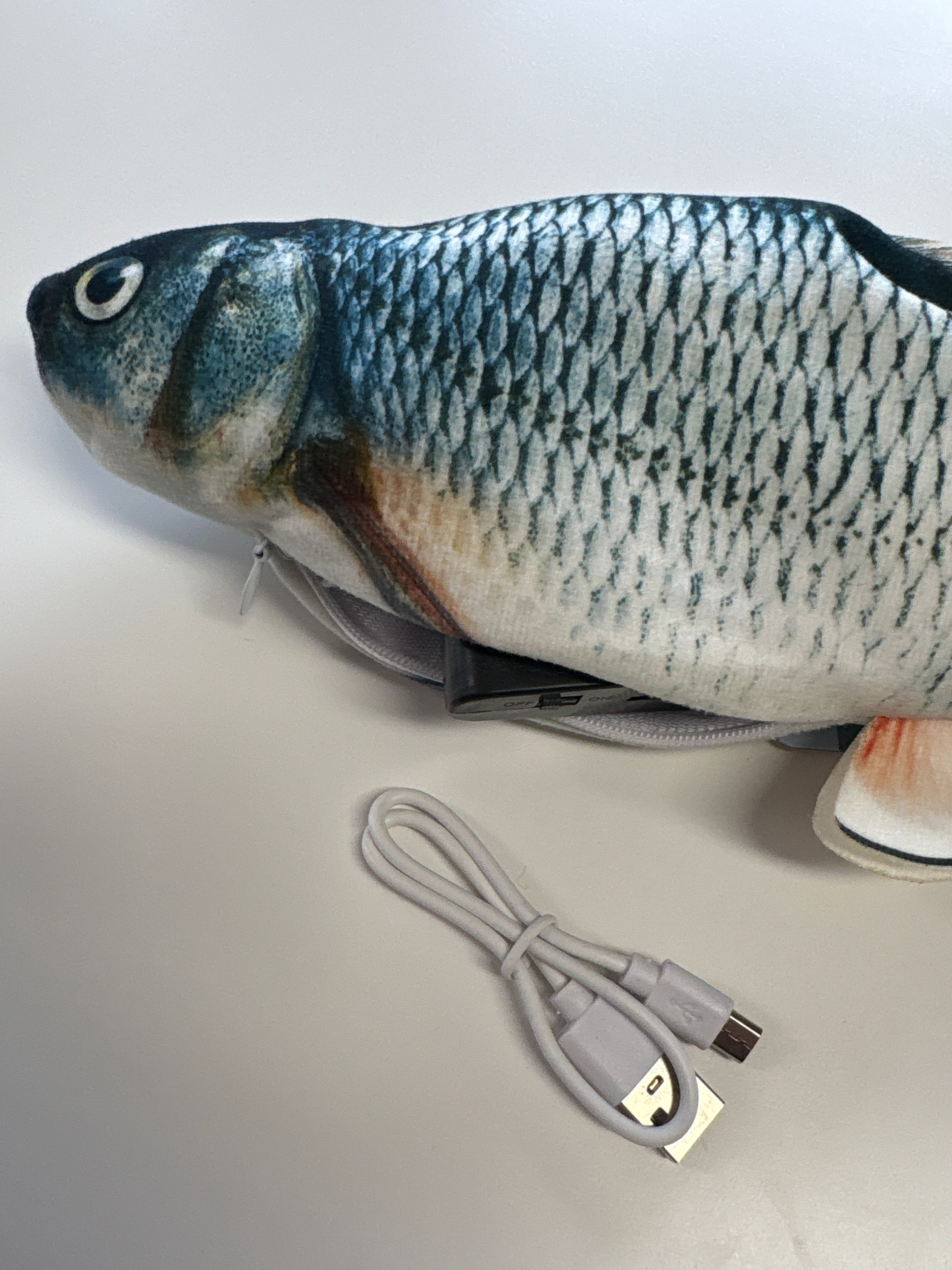 Zappelfisch mit Katzenminze