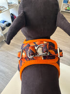 PETTORINA KAMI XL 58-70CM ARANCIONE