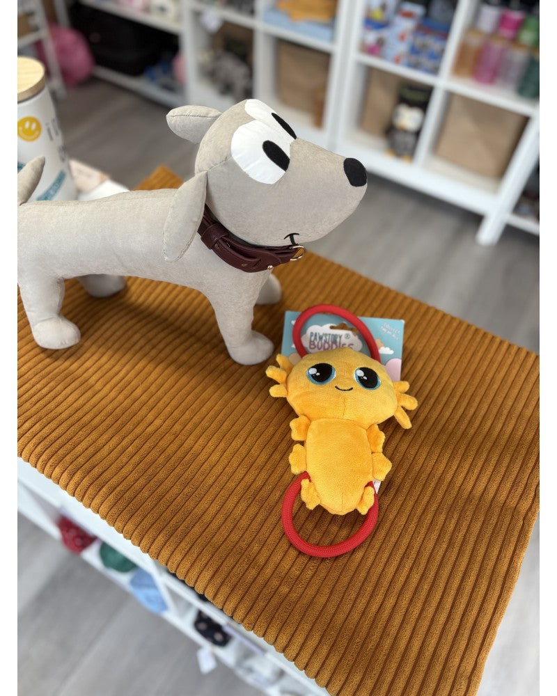 Hundedecke S | Cord - Curry